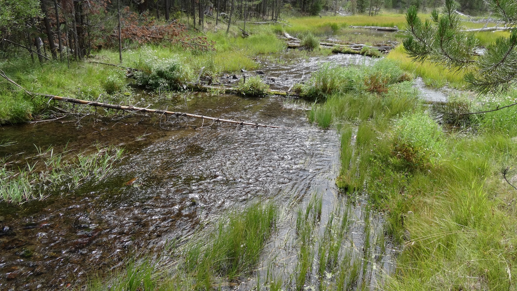 Head Of The River Campground