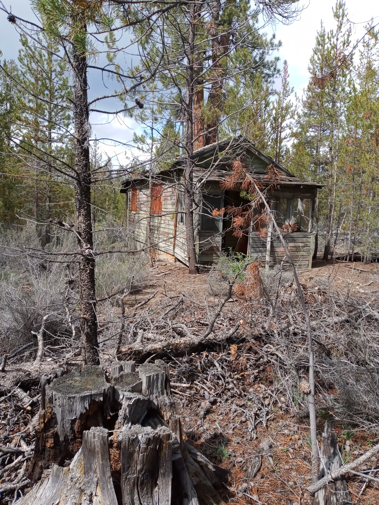 Head Of The River Campground