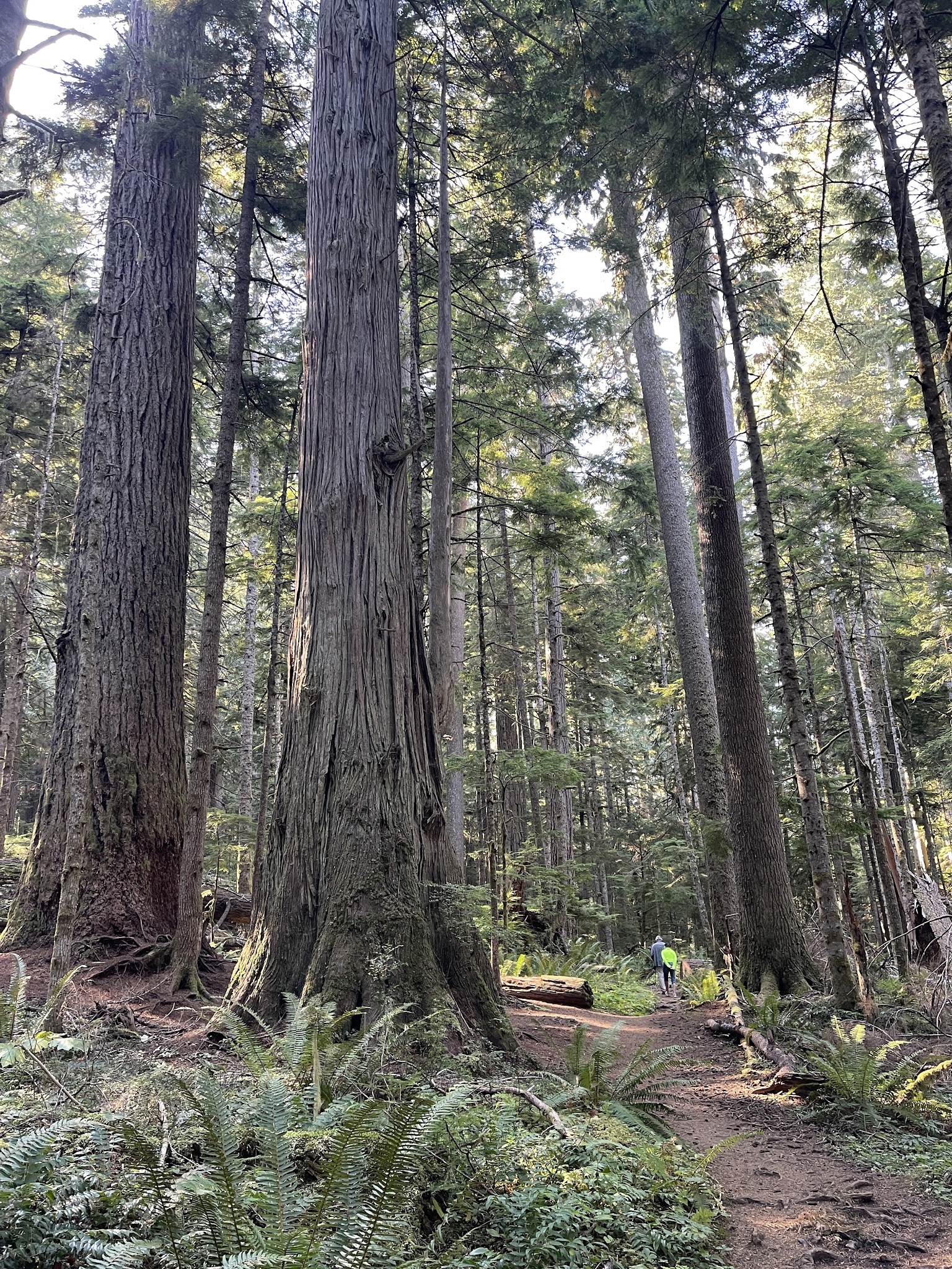 Heart O' The Hills Campground