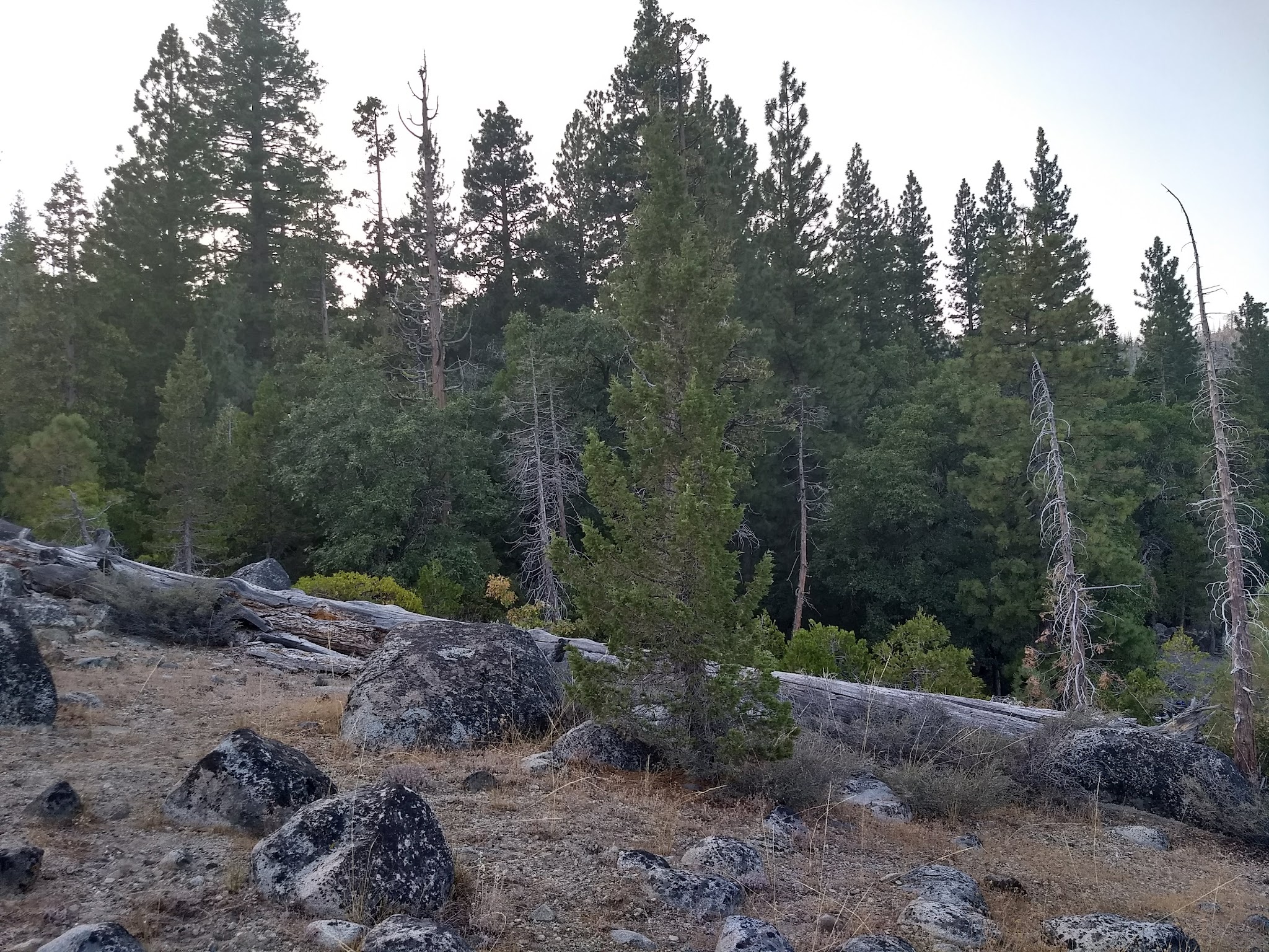 Hell Hole Campground