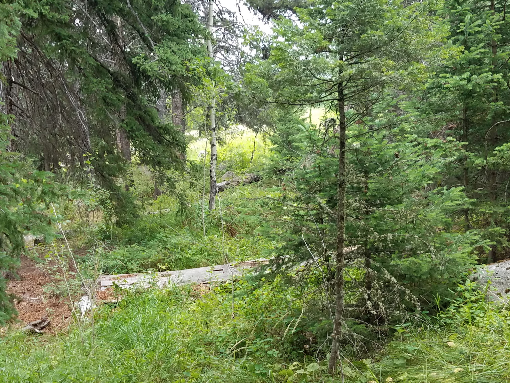 Hells Canyon Campground