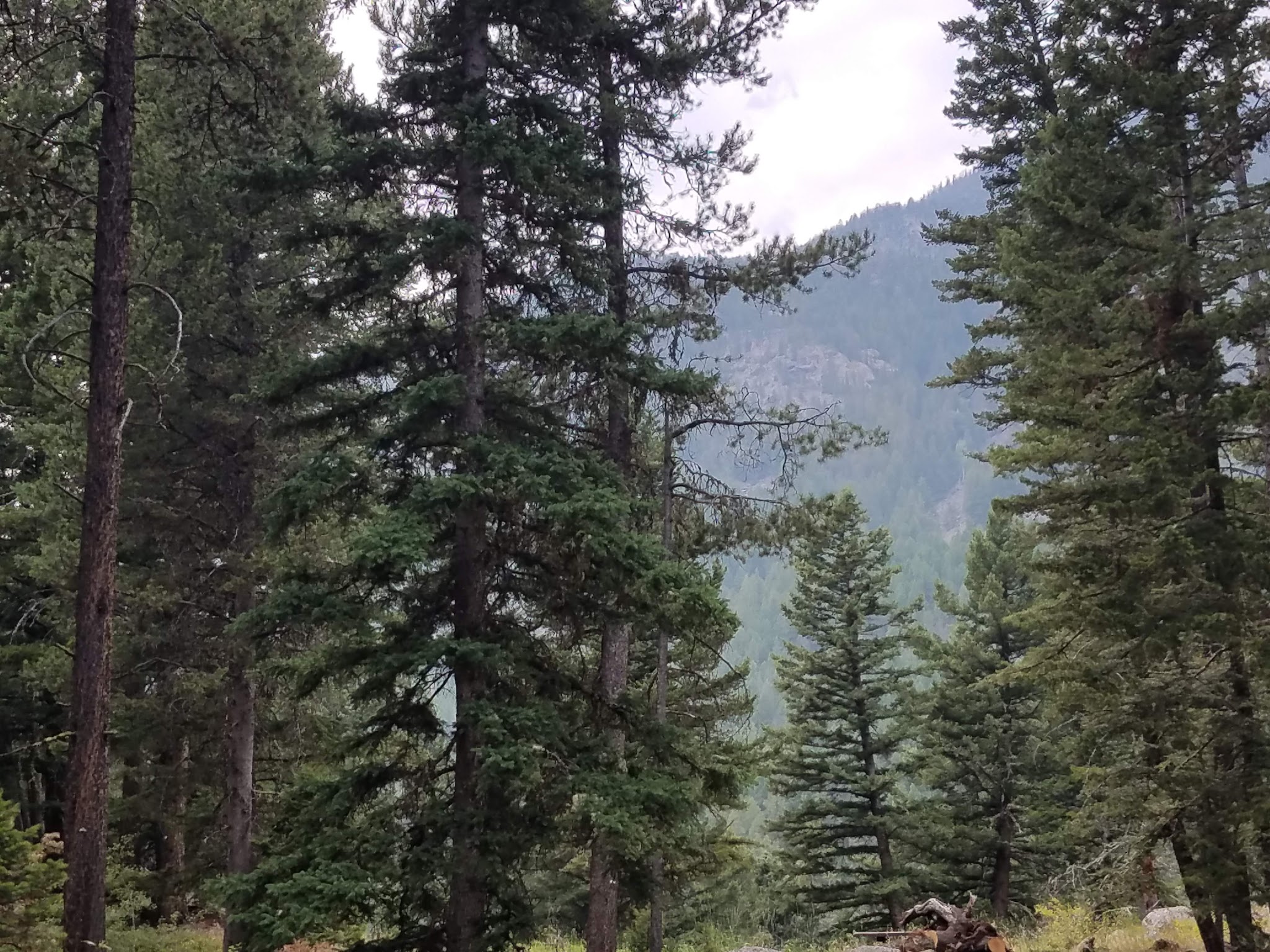 Hells Canyon Campground