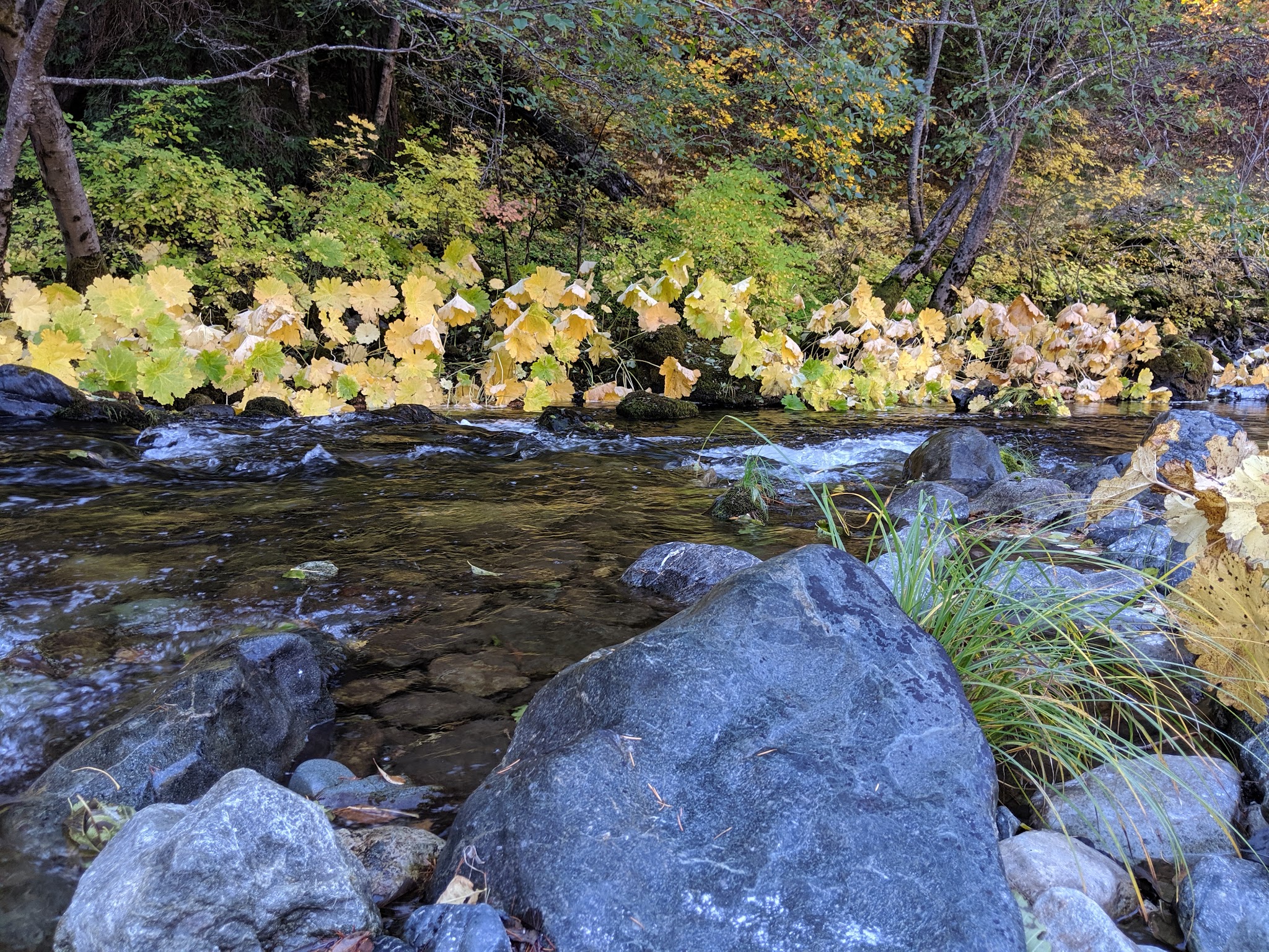 Hell Gate Campground