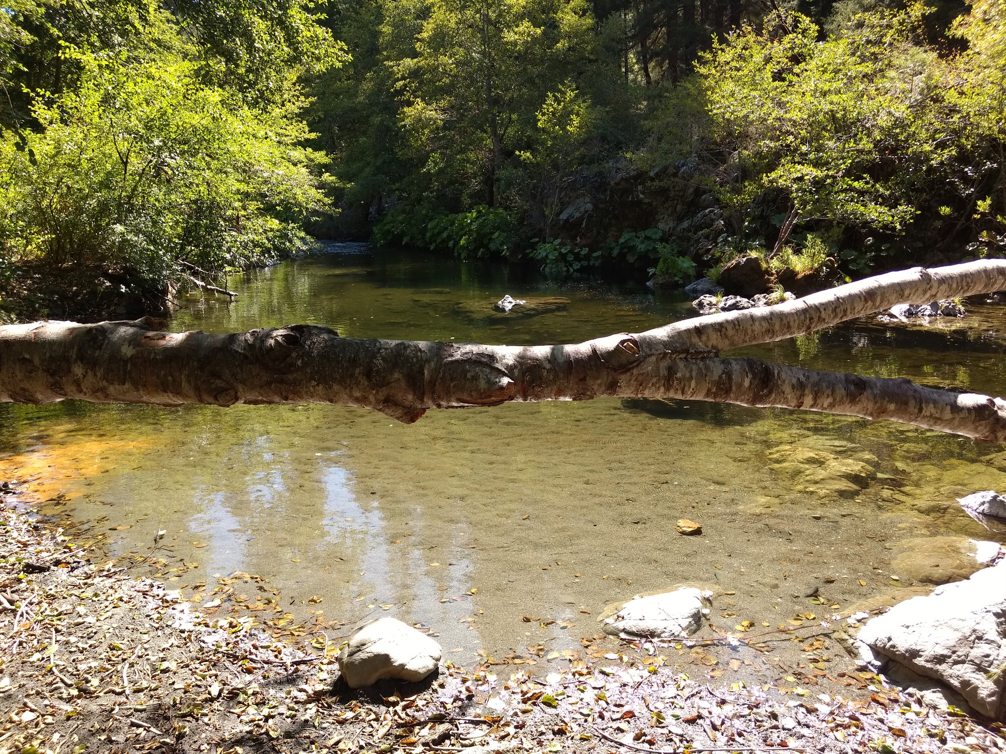 Hell Gate Campground