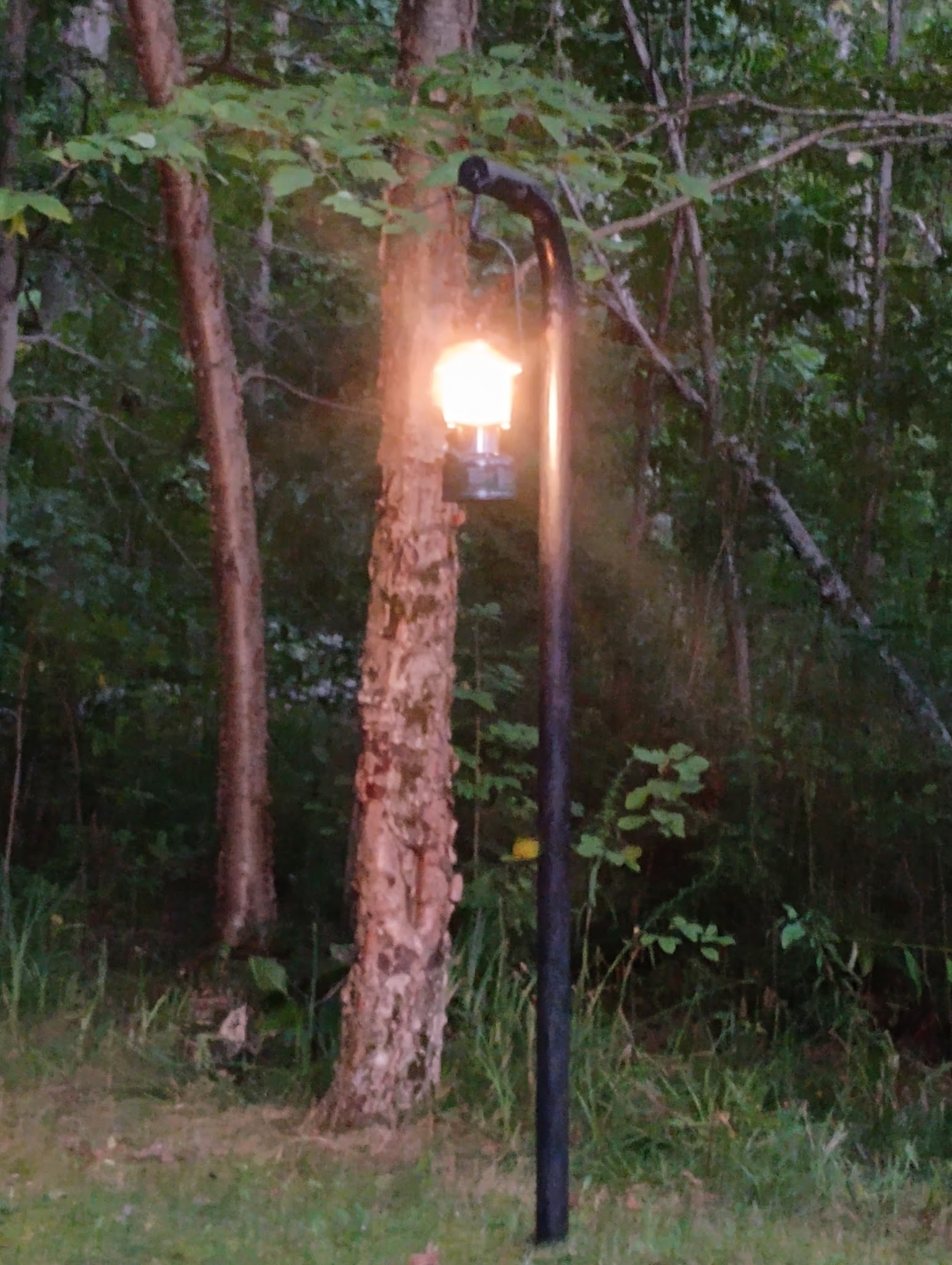Hemlock Campground And Boat Launch