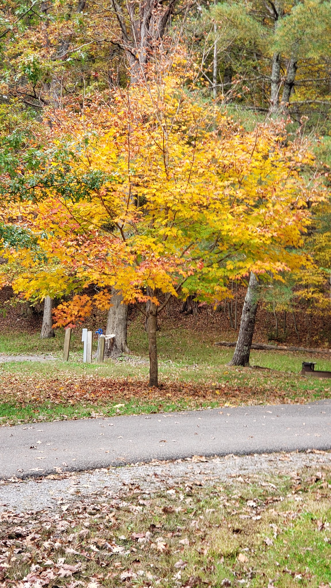 Hemlock Haven Campground