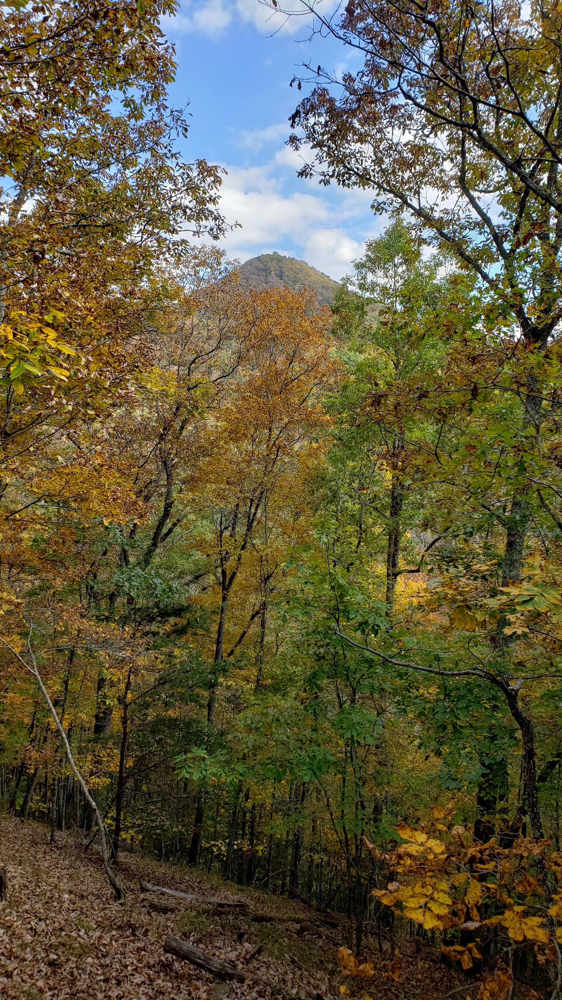 Hemlock Haven Campground