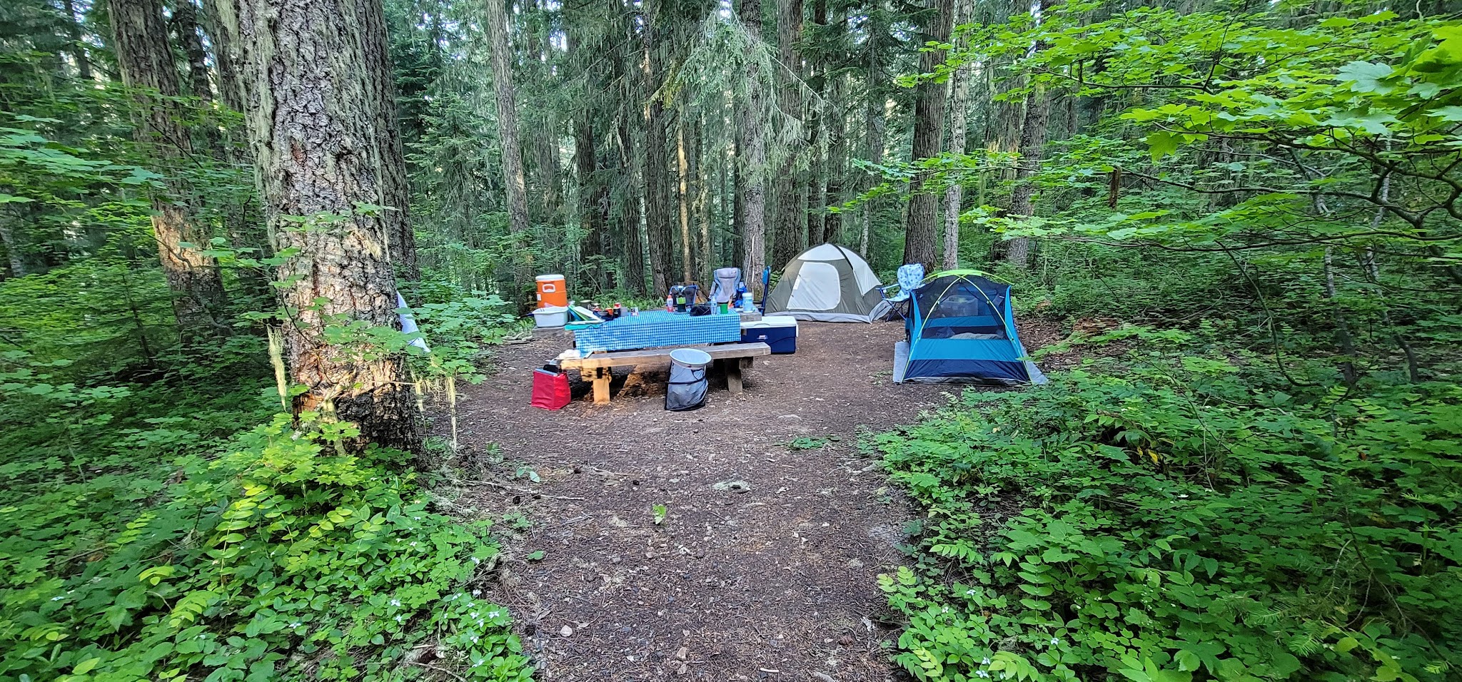 Hemlock Lake Campground