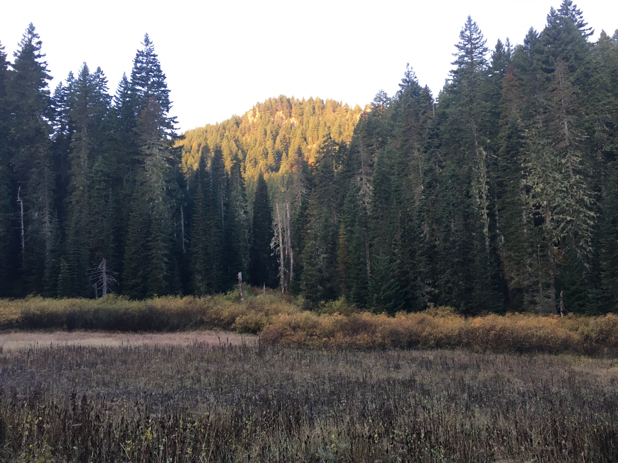 Hemlock Lake Campground
