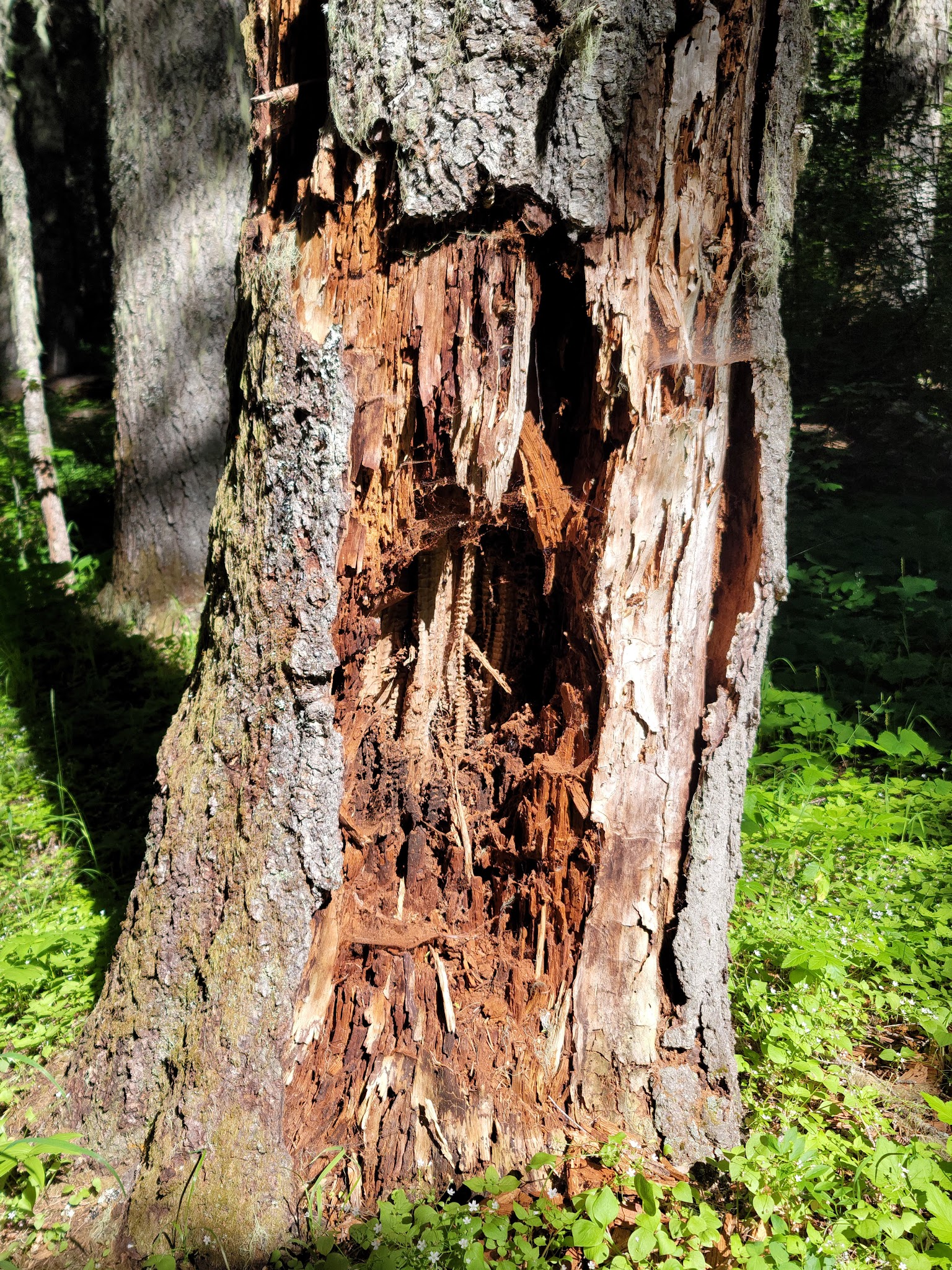 Hemlock Lake Campground
