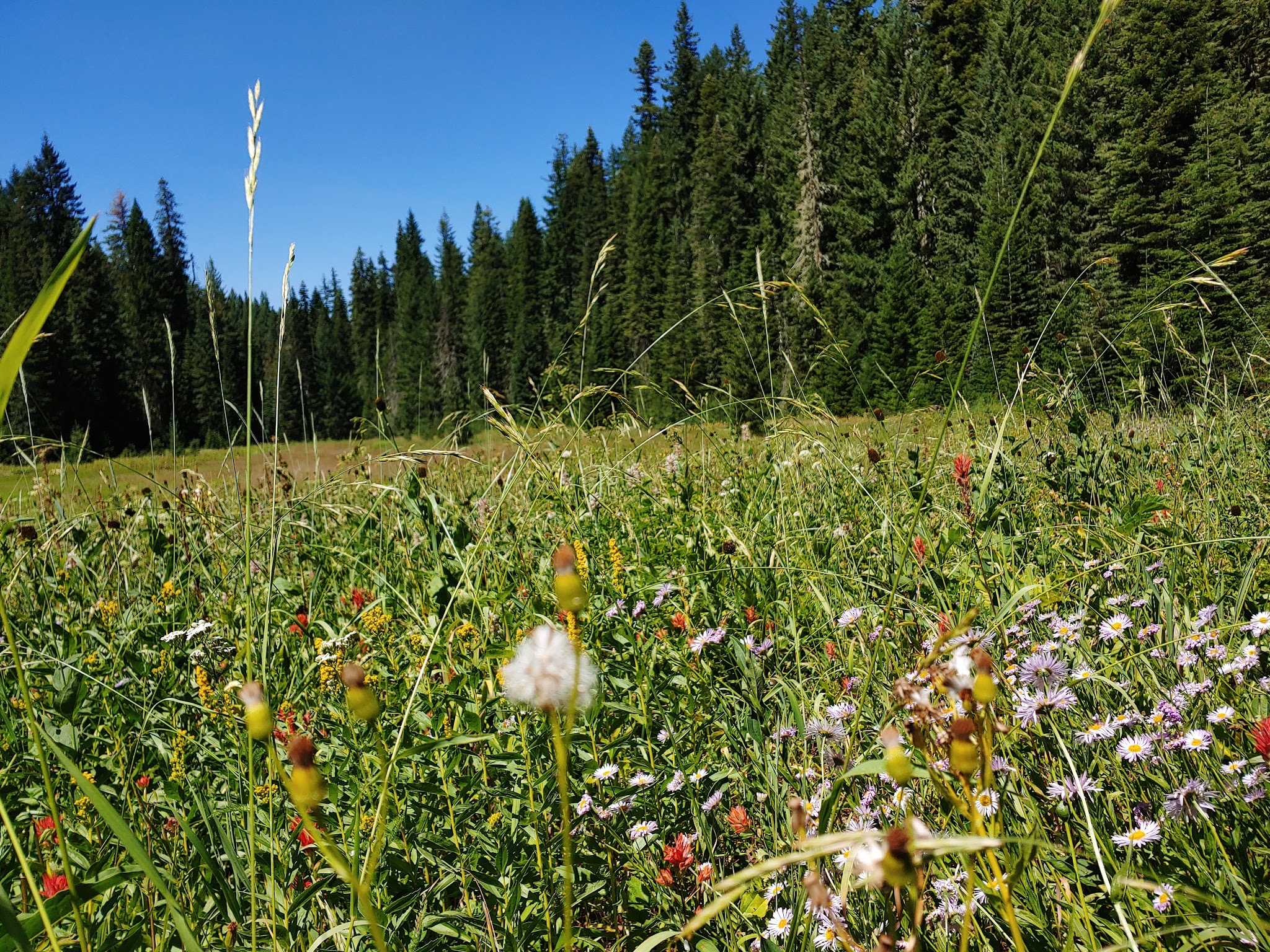 Hemlock Lake Campground