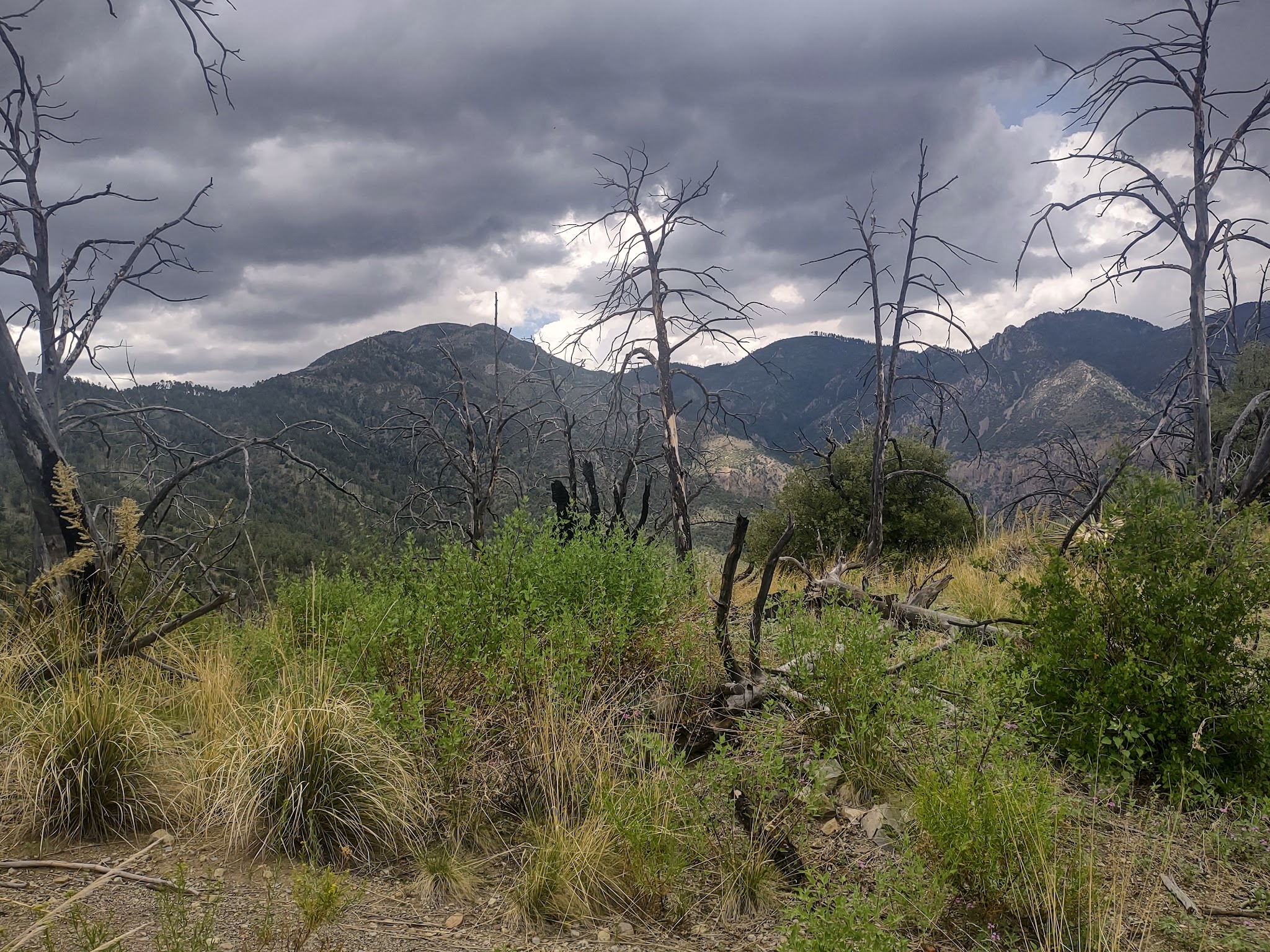 Herb Martyr Campground