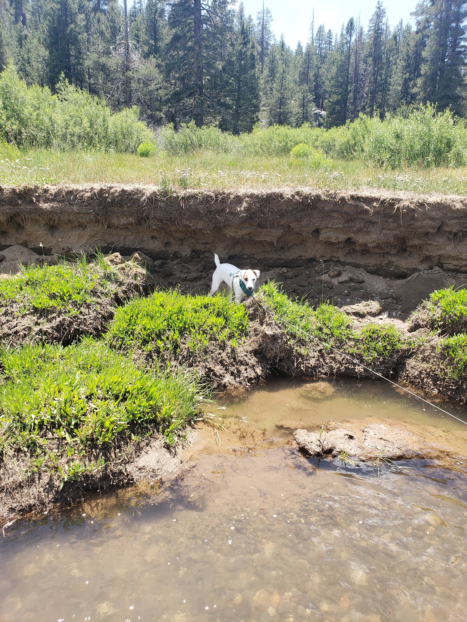 Hermit Valley Campground