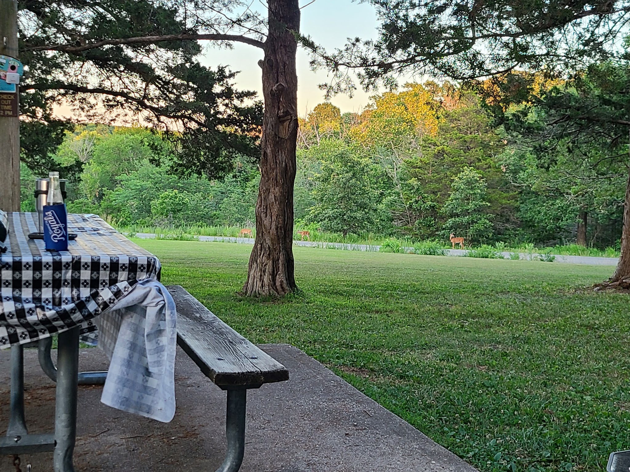 Hermitage Campground