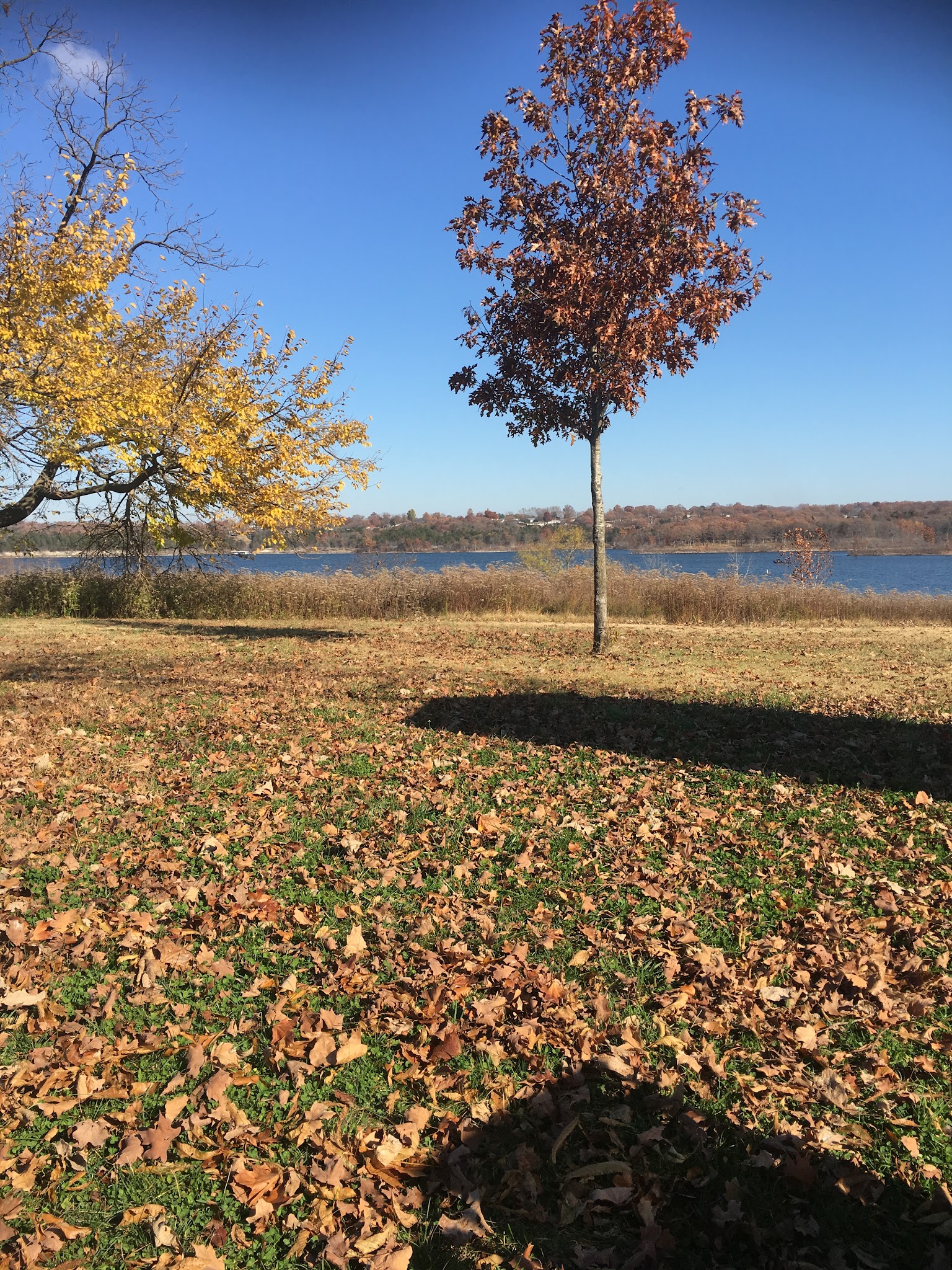 Hermitage Campground