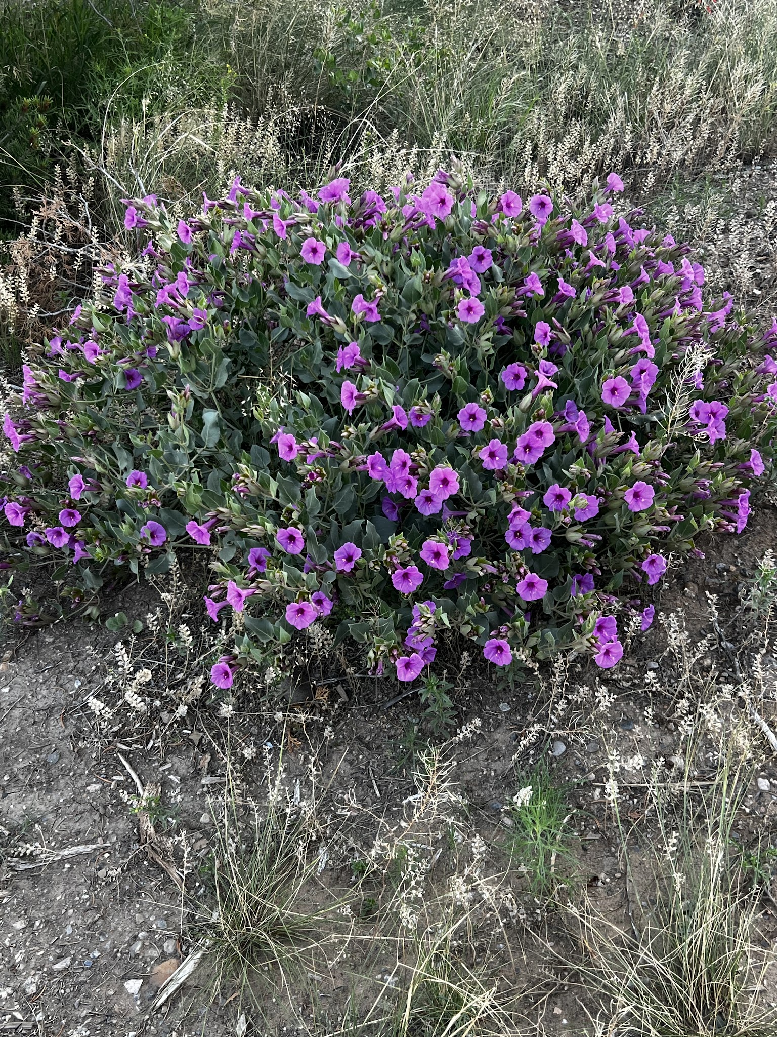Heron Lake Visitor Center Great Room