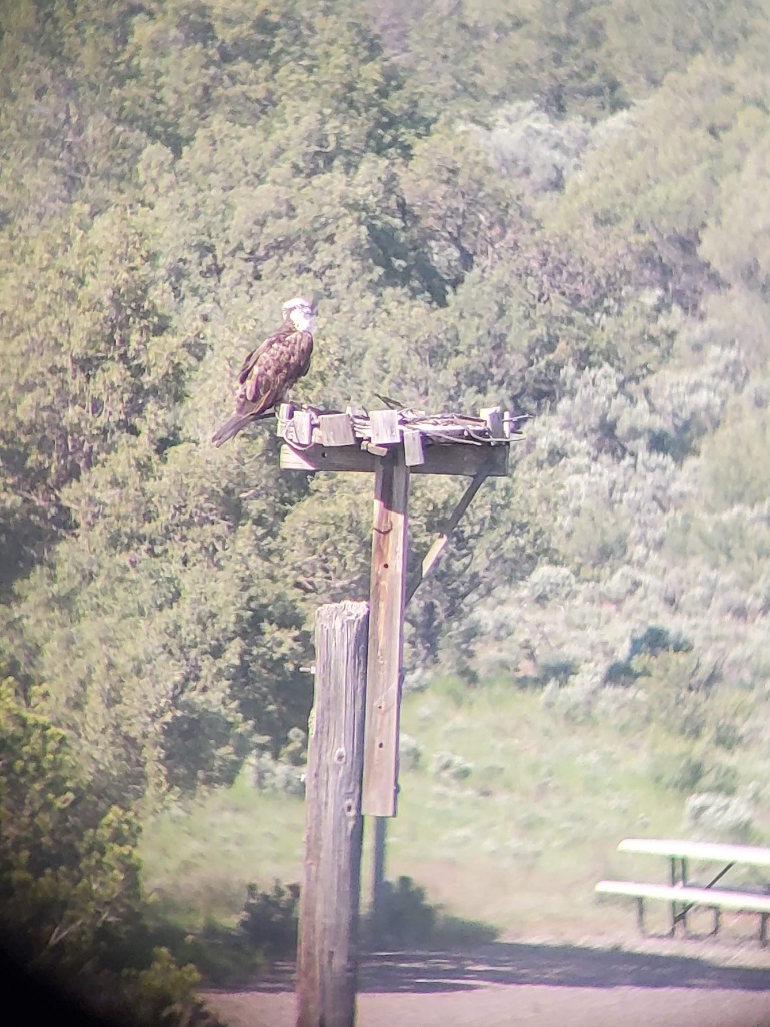 Heron Lake Visitor Center Great Room