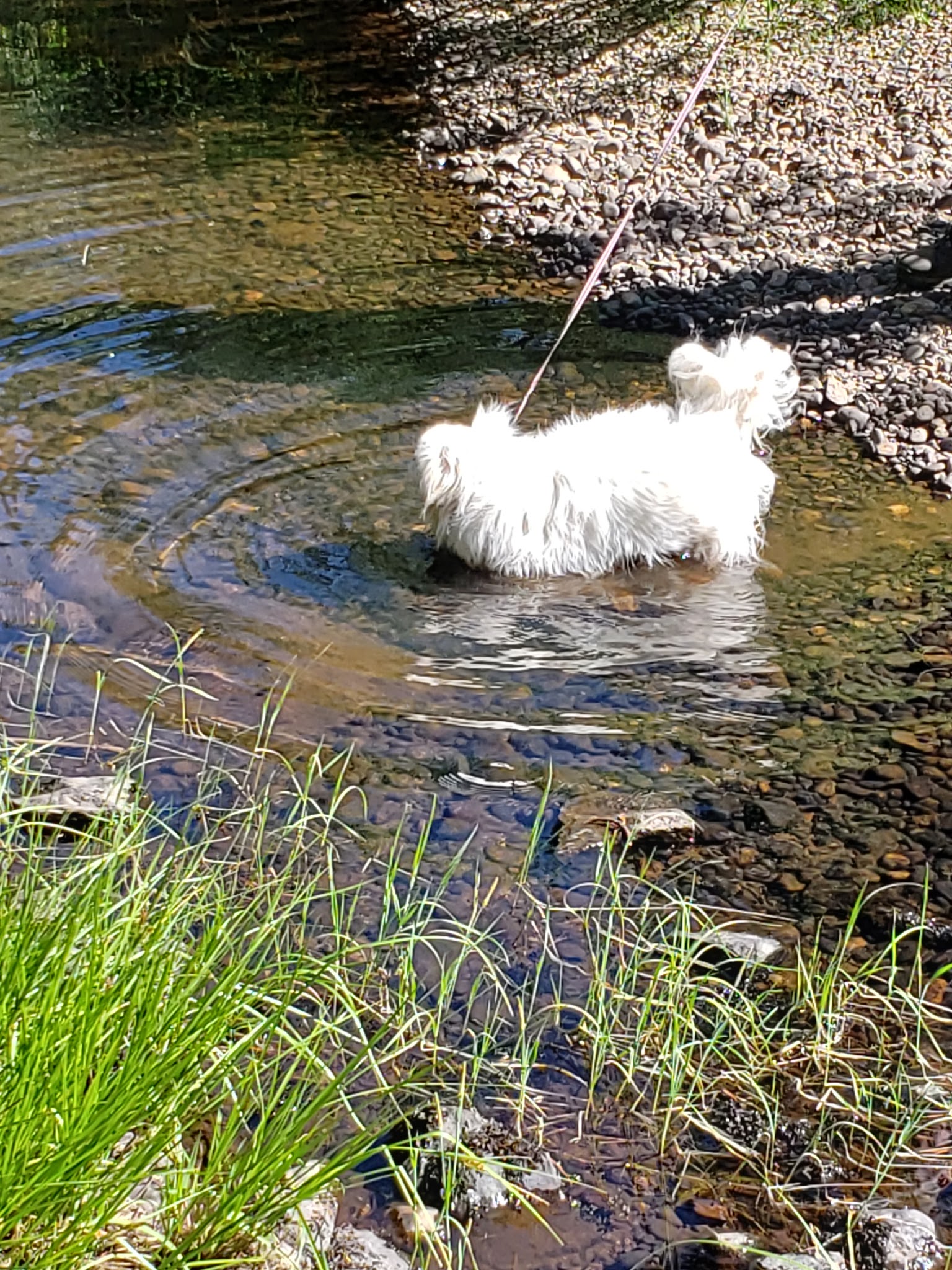 Herring Creek Campground