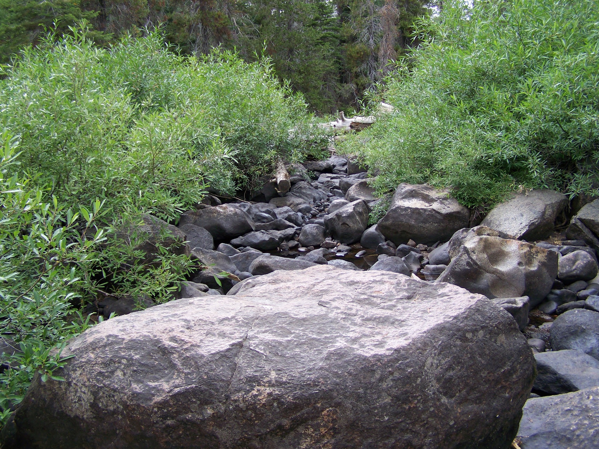 Herring Creek Campground