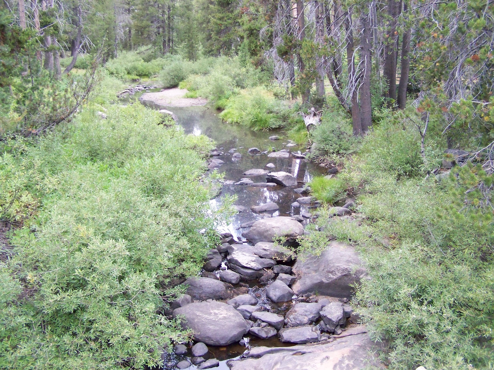 Herring Creek Campground