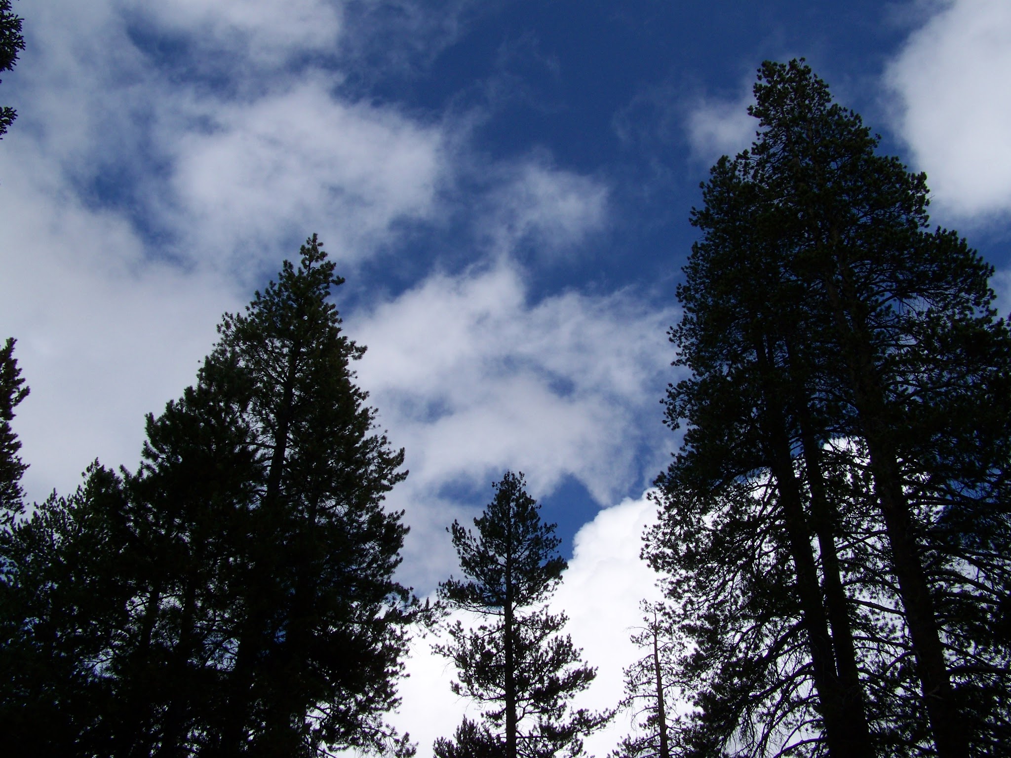 Herring Creek Campground