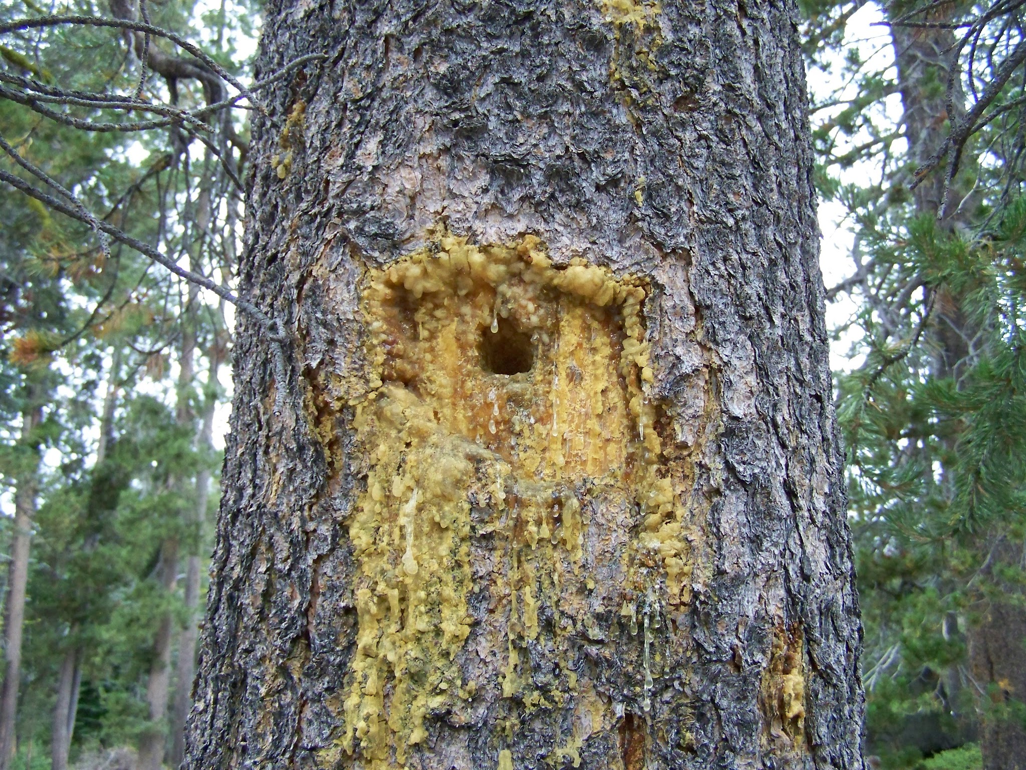 Herring Creek Campground