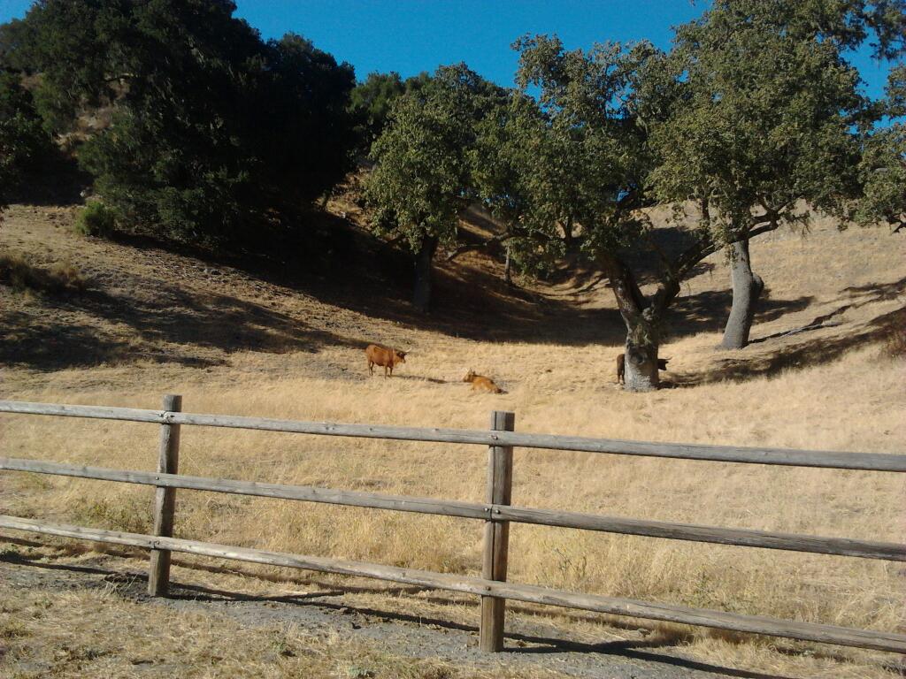 Hi Mountain Campground