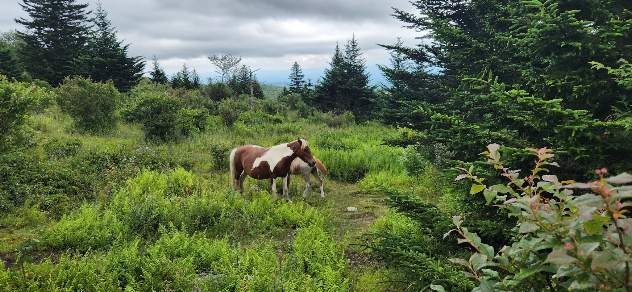 Hickory Ridge Campground