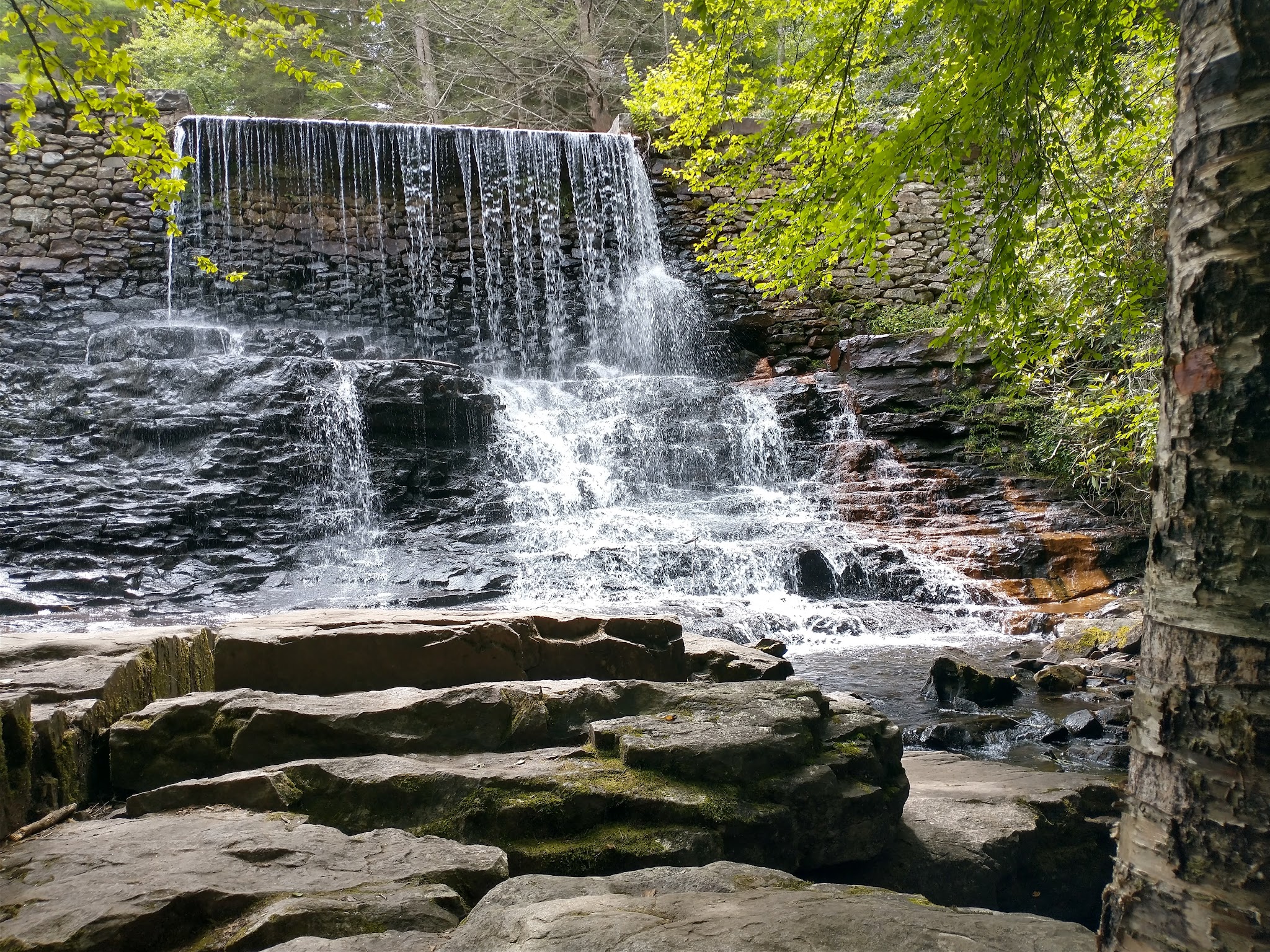 Hickory Run State Park