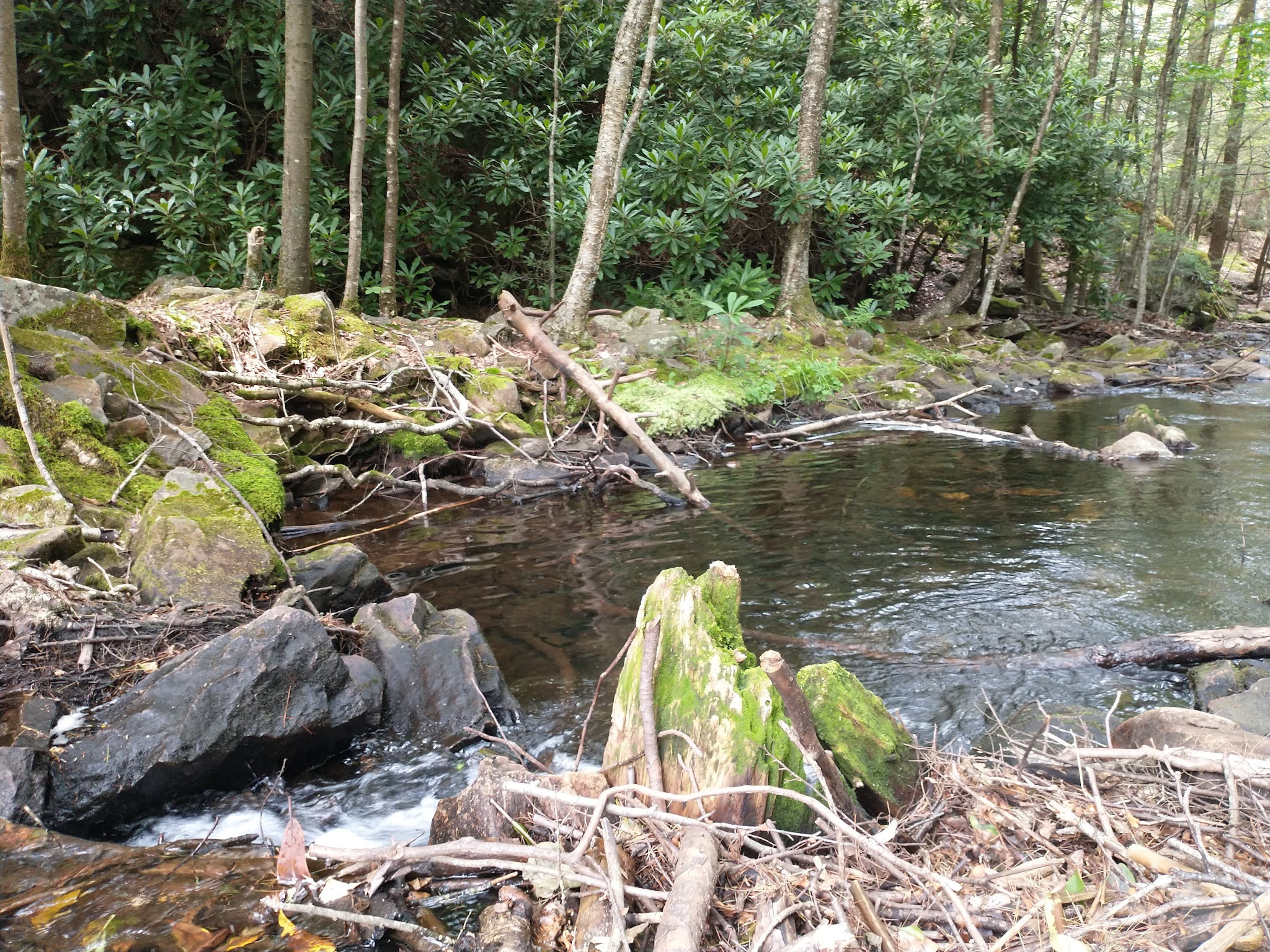 Hickory Run State Park