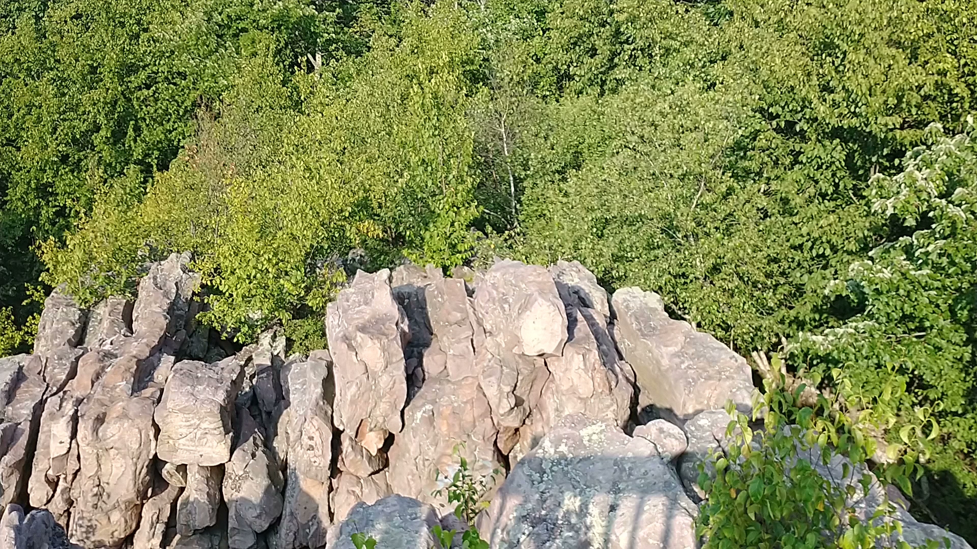 Hickory Run State Park