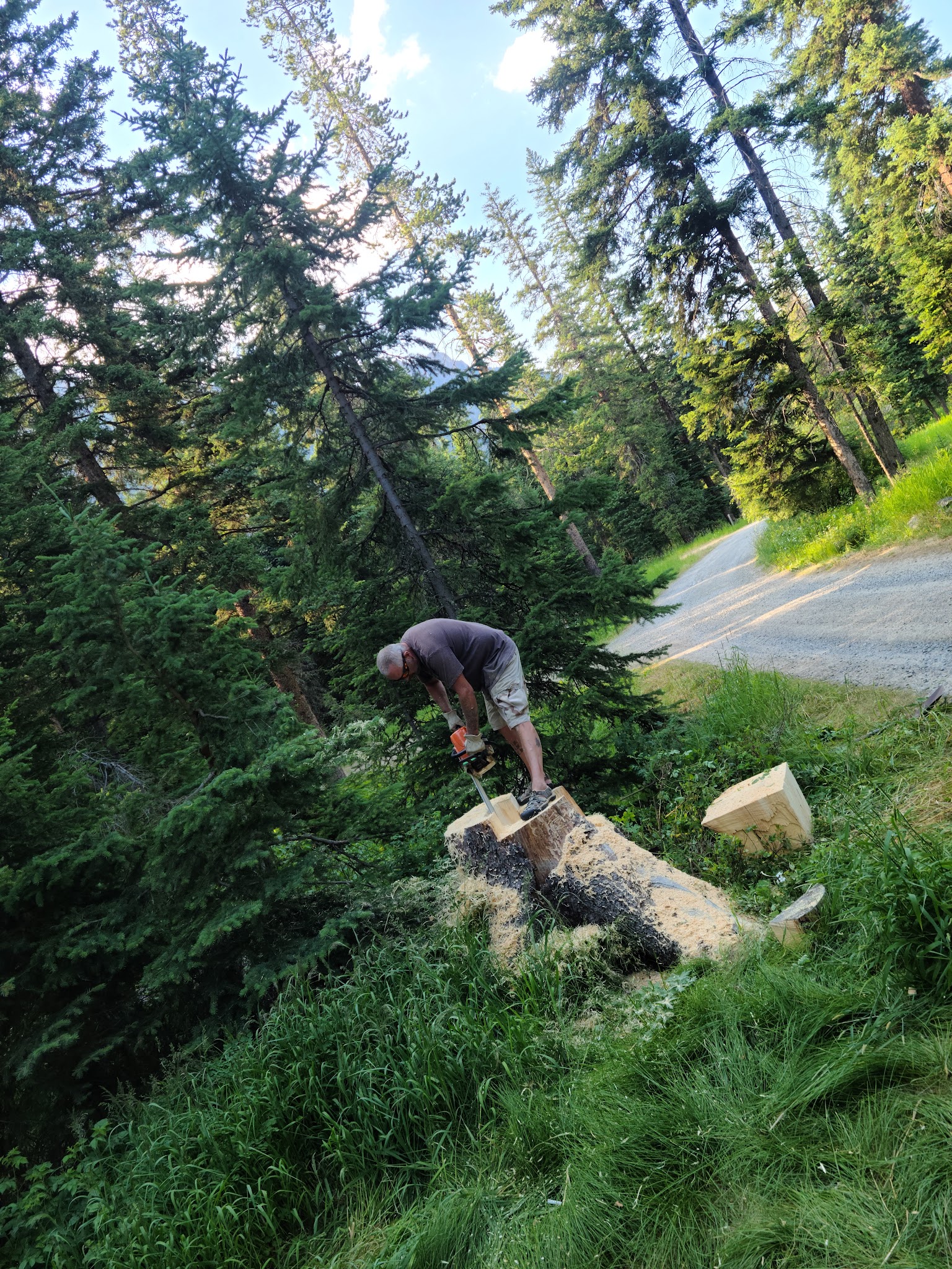 Hick'S Park Campground