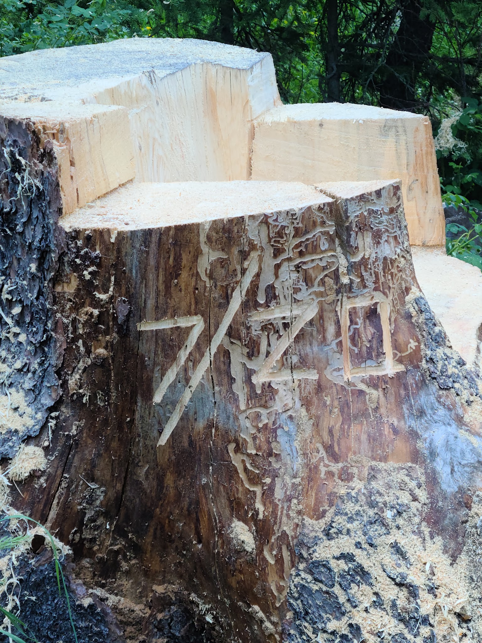 Hick'S Park Campground