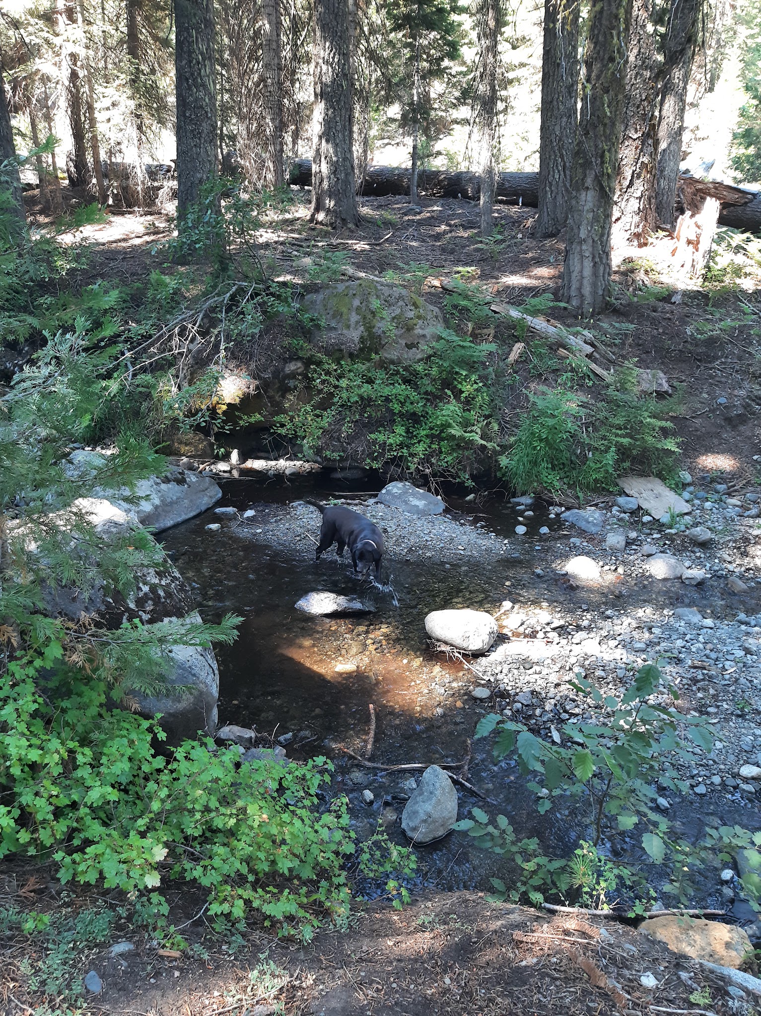 Hidden Horse Equestrian Campground