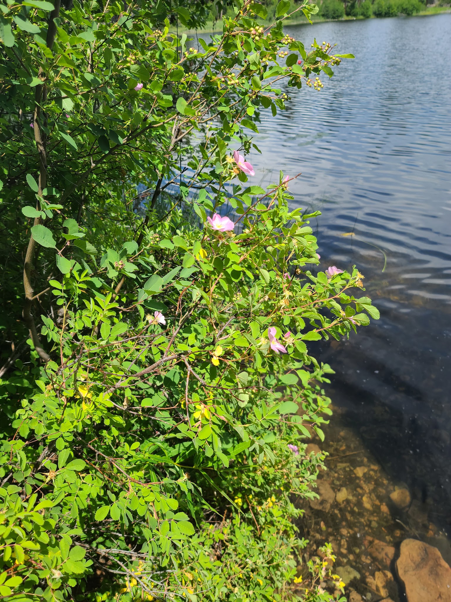 Hidden Lake Campground