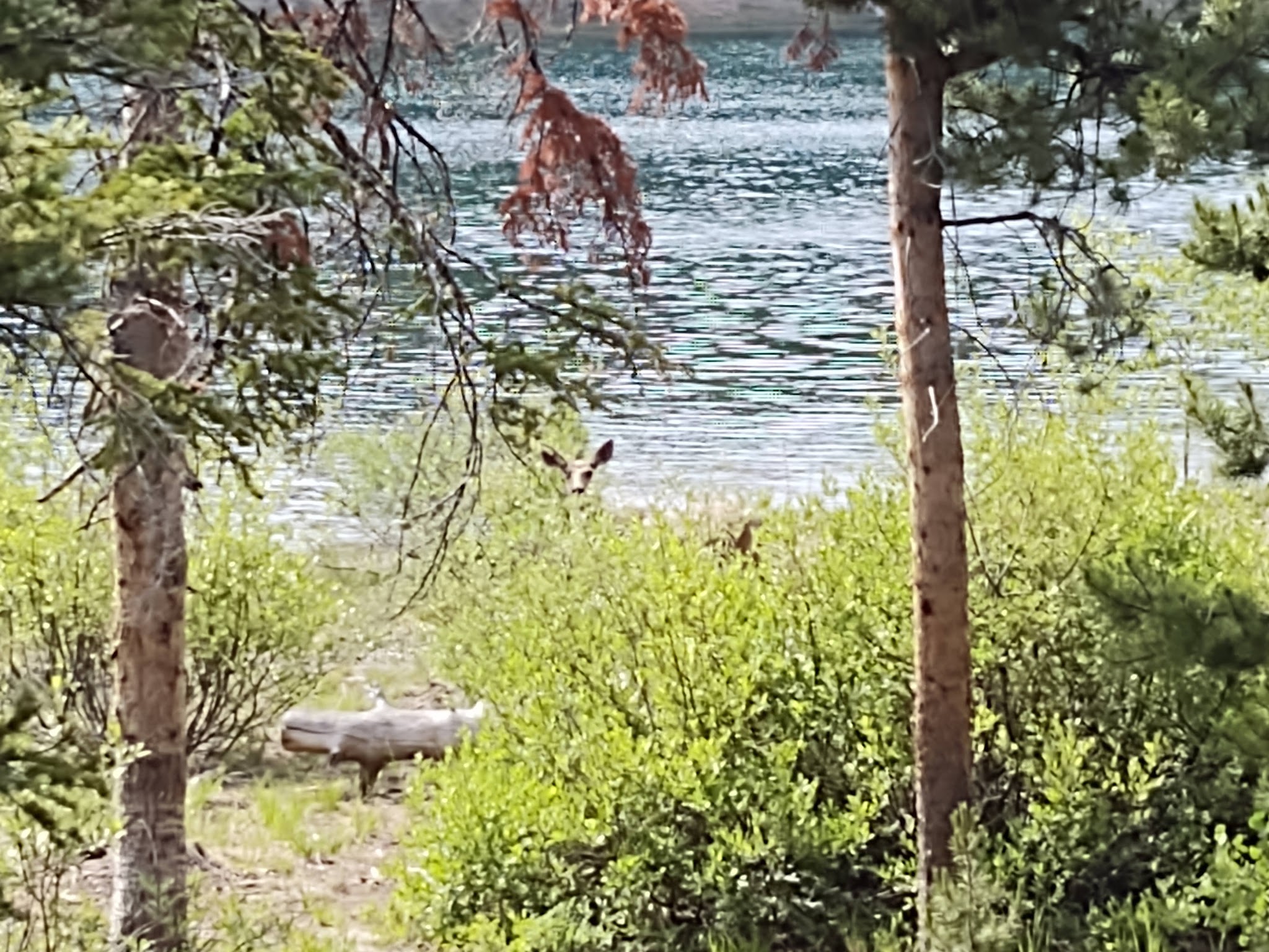 Hidden Lakes Campground