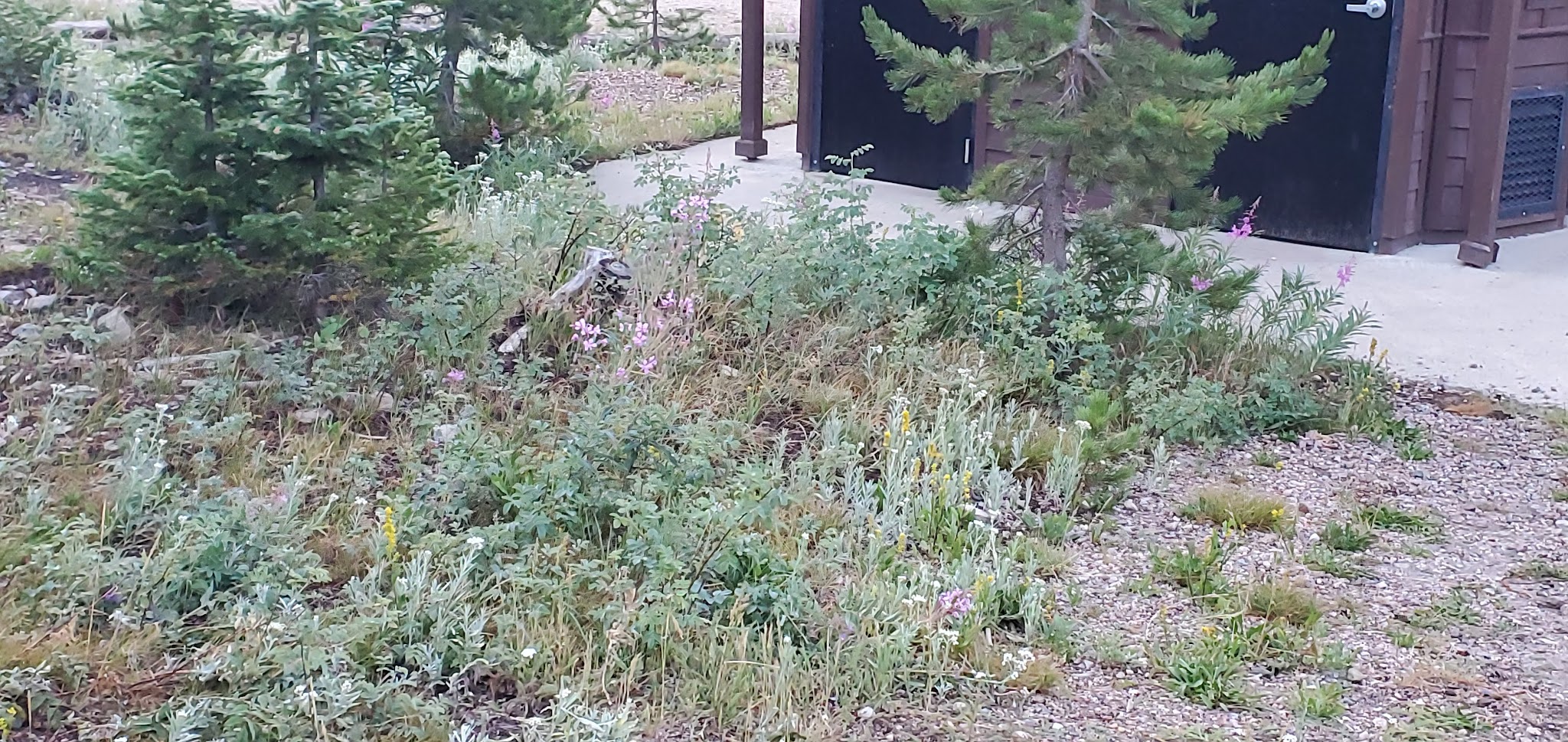 Hidden Lakes Campground