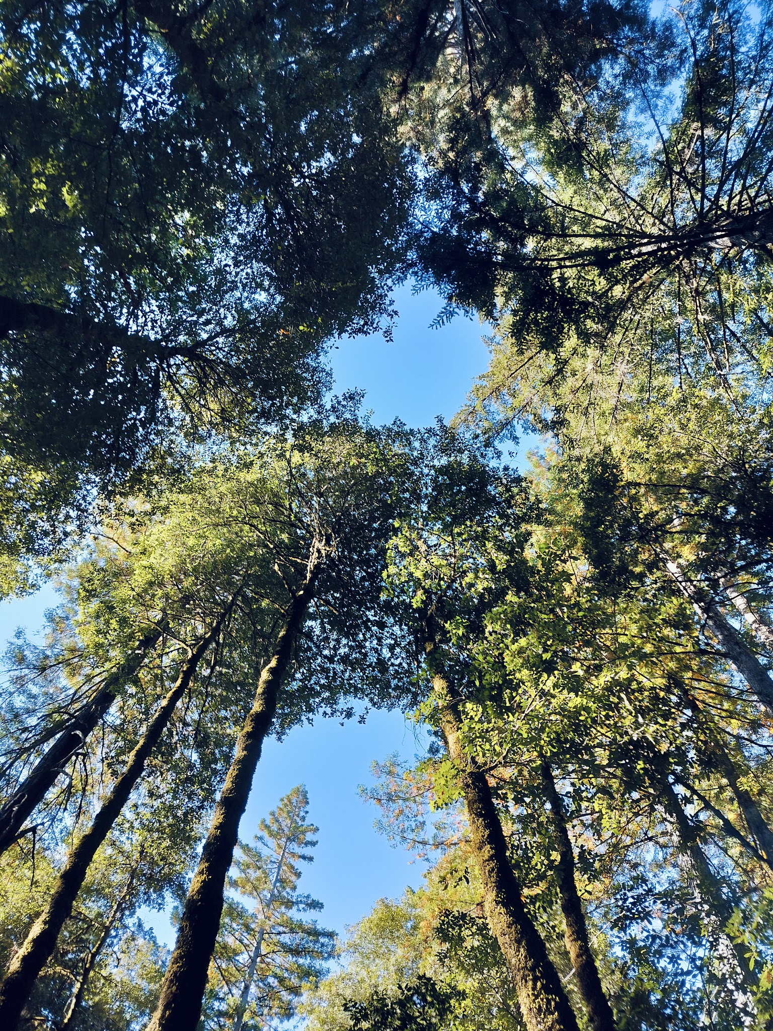 Hidden Springs Campground