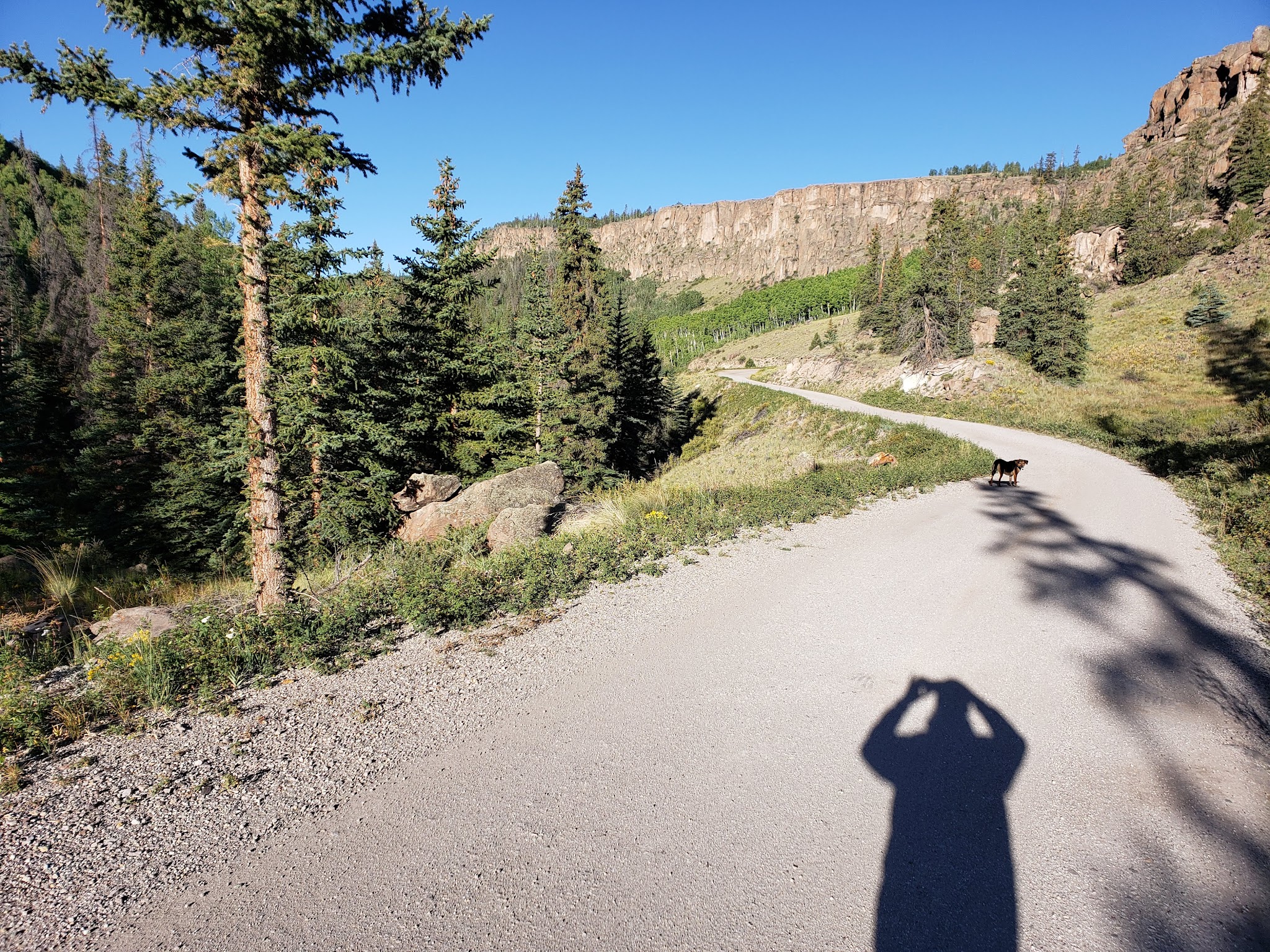 Hidden Valley Tent Campground- Gunnison Rd
