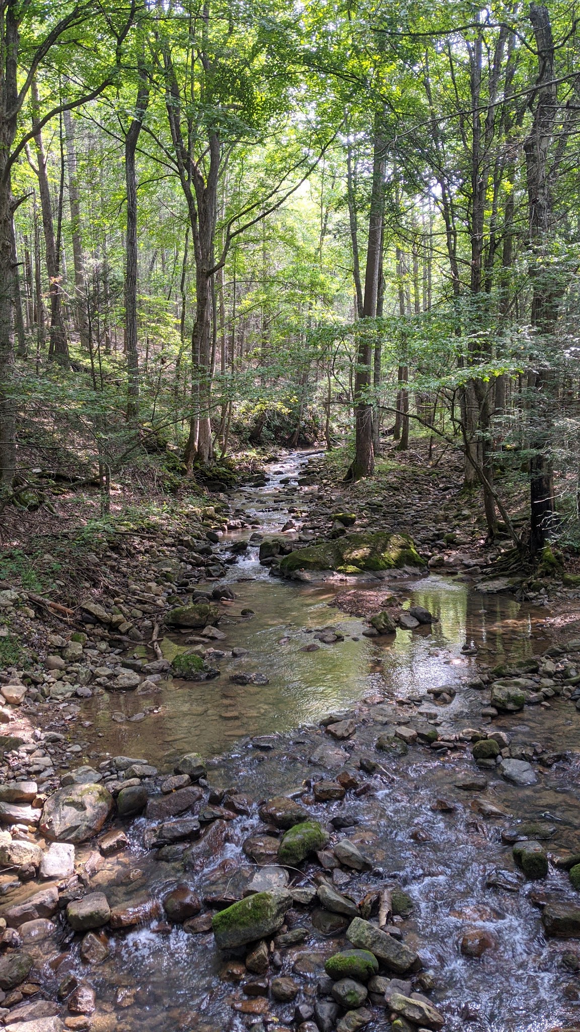 Hidden Valley Campground