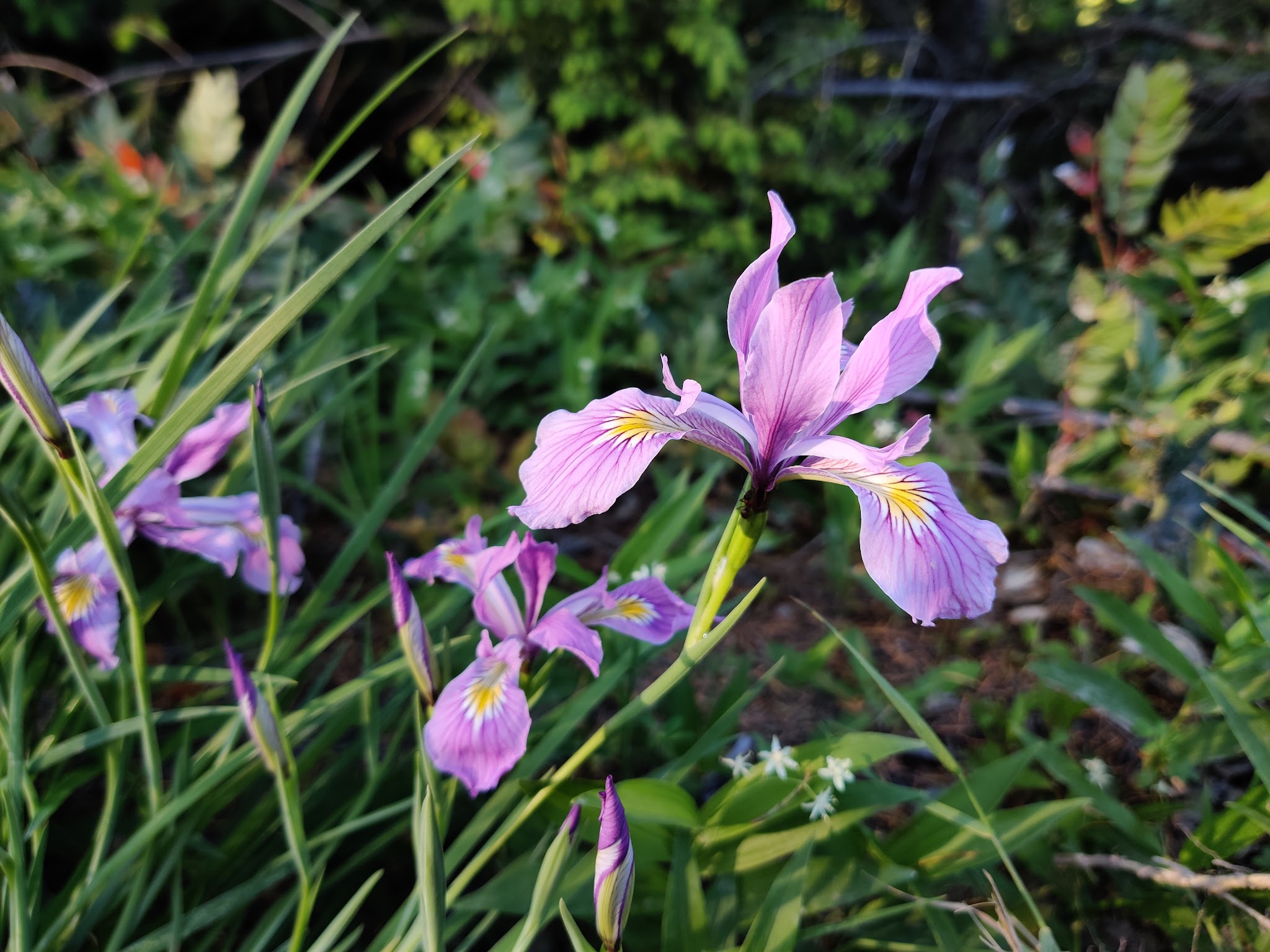 Hideaway Lake Campground