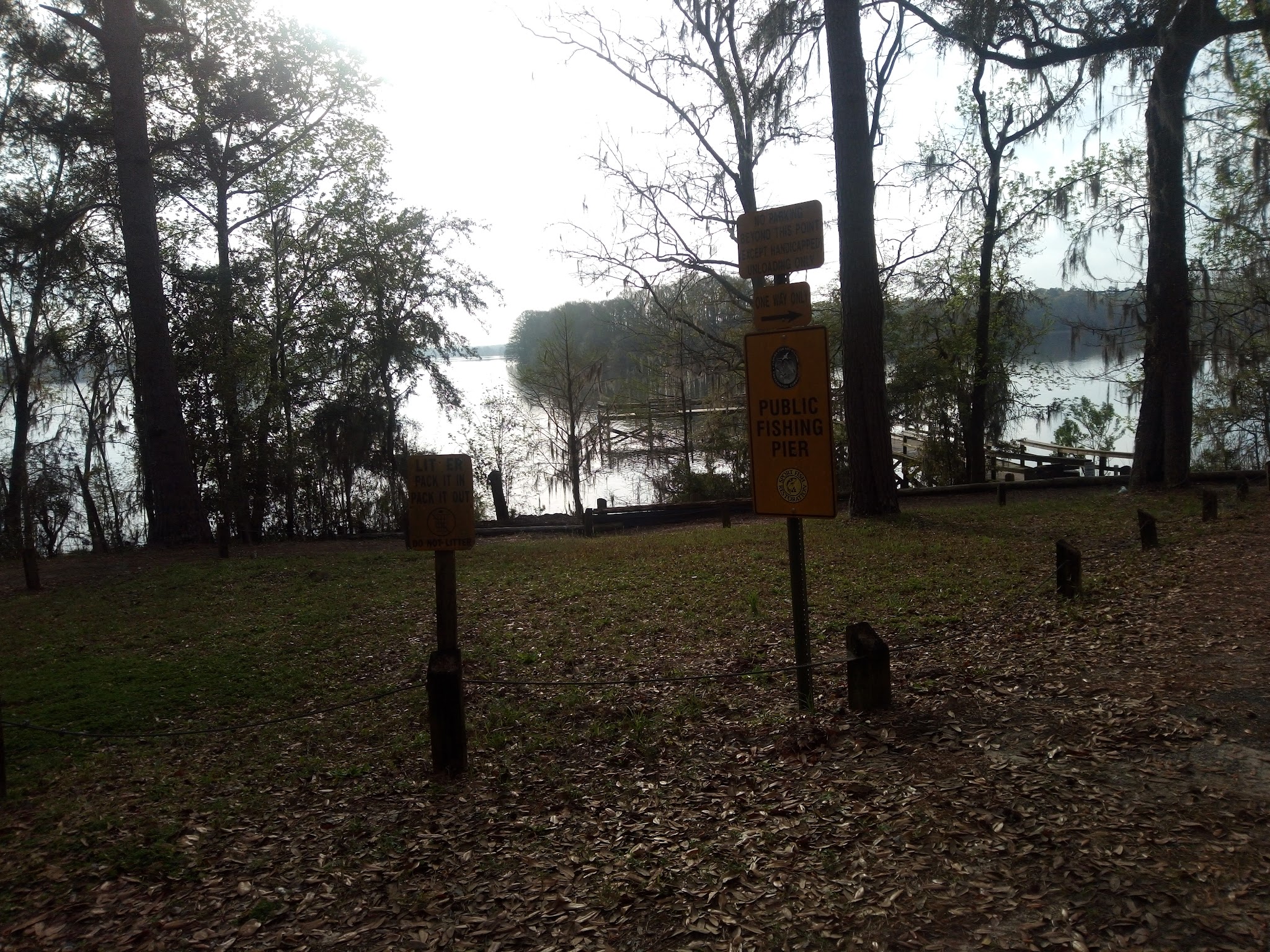 High Bluff Campground Lake Talquin State Forest
