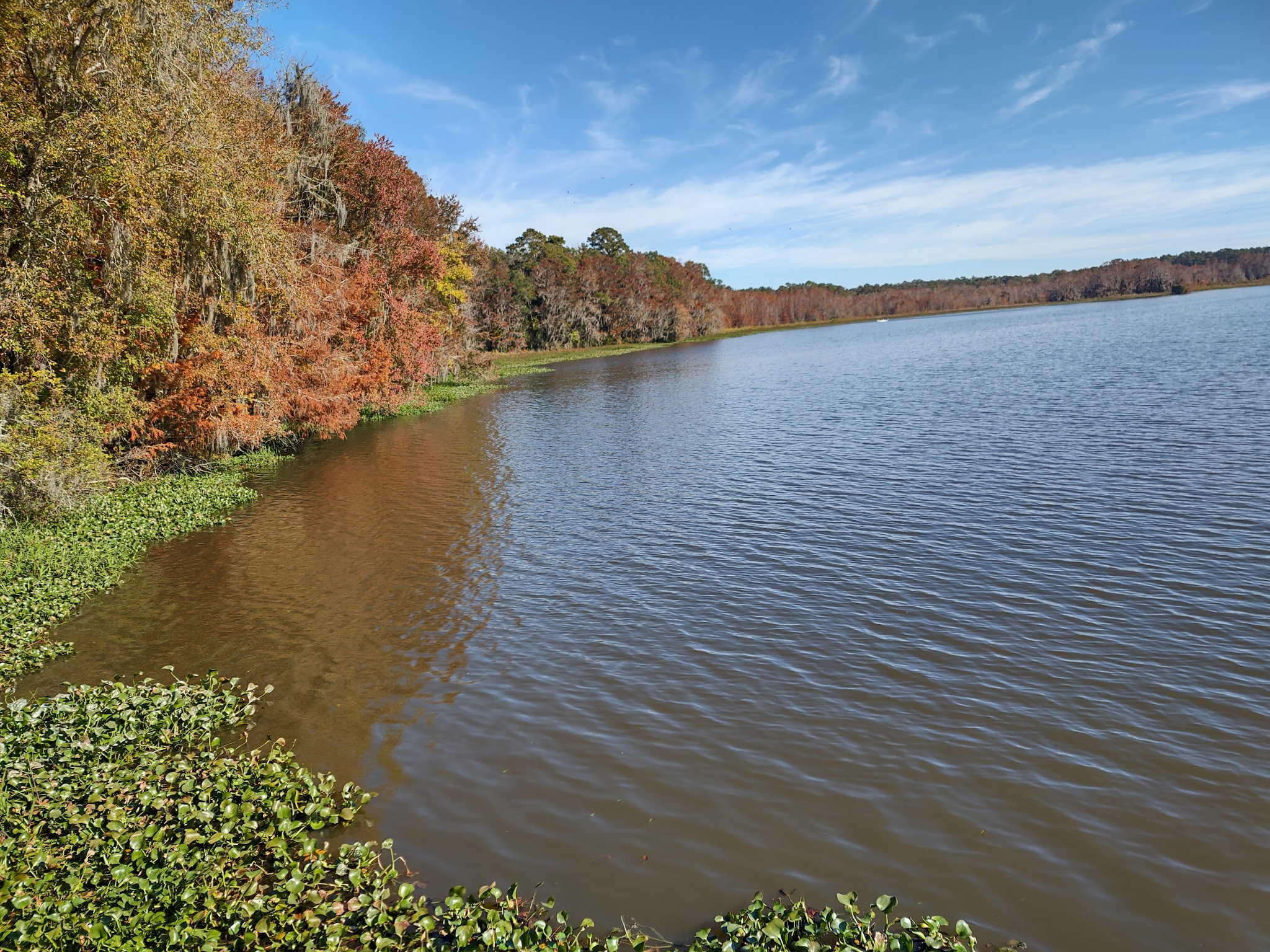High Bluff Campground Lake Talquin State Forest