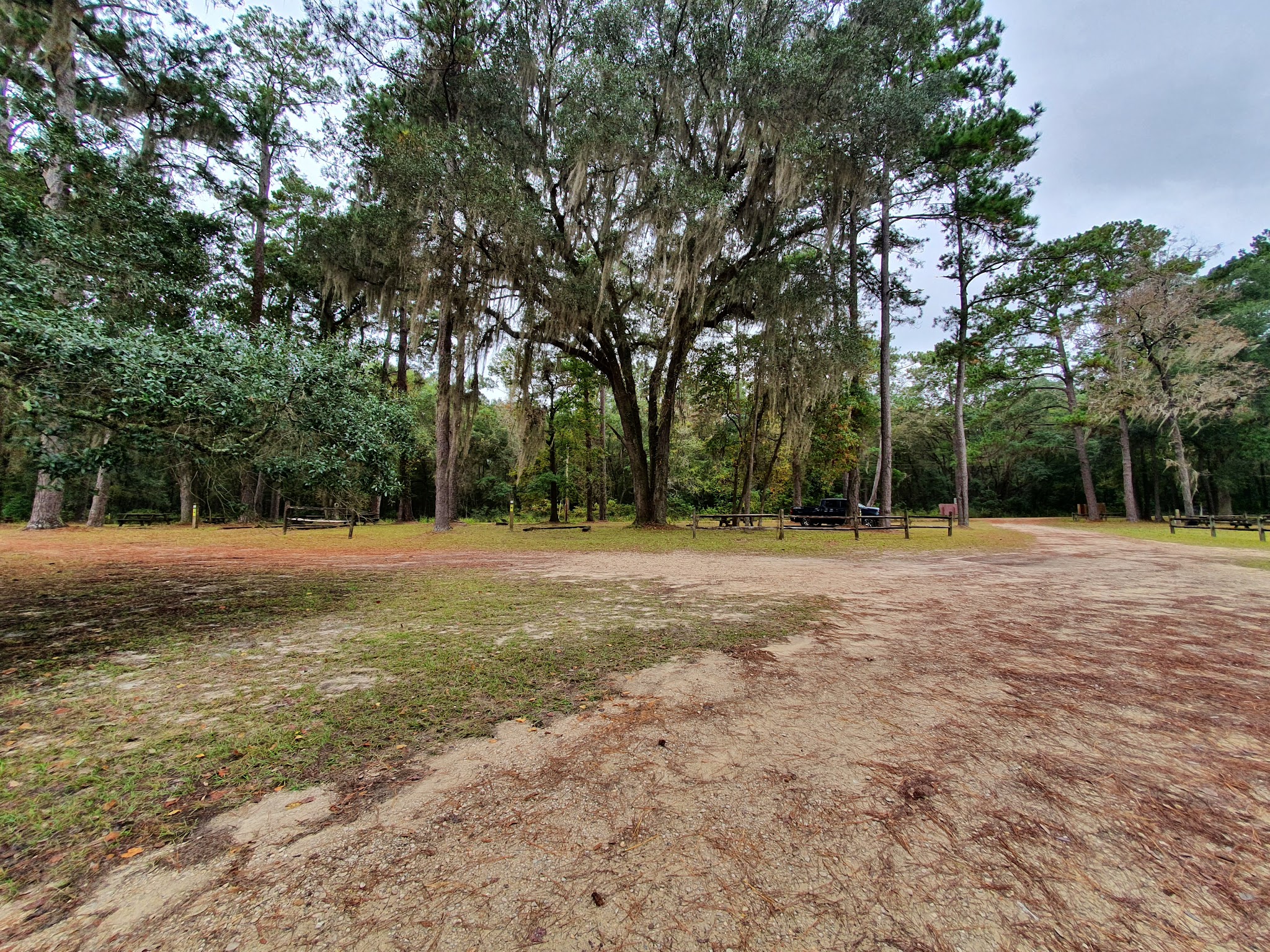 High Bluff Campground Lake Talquin State Forest