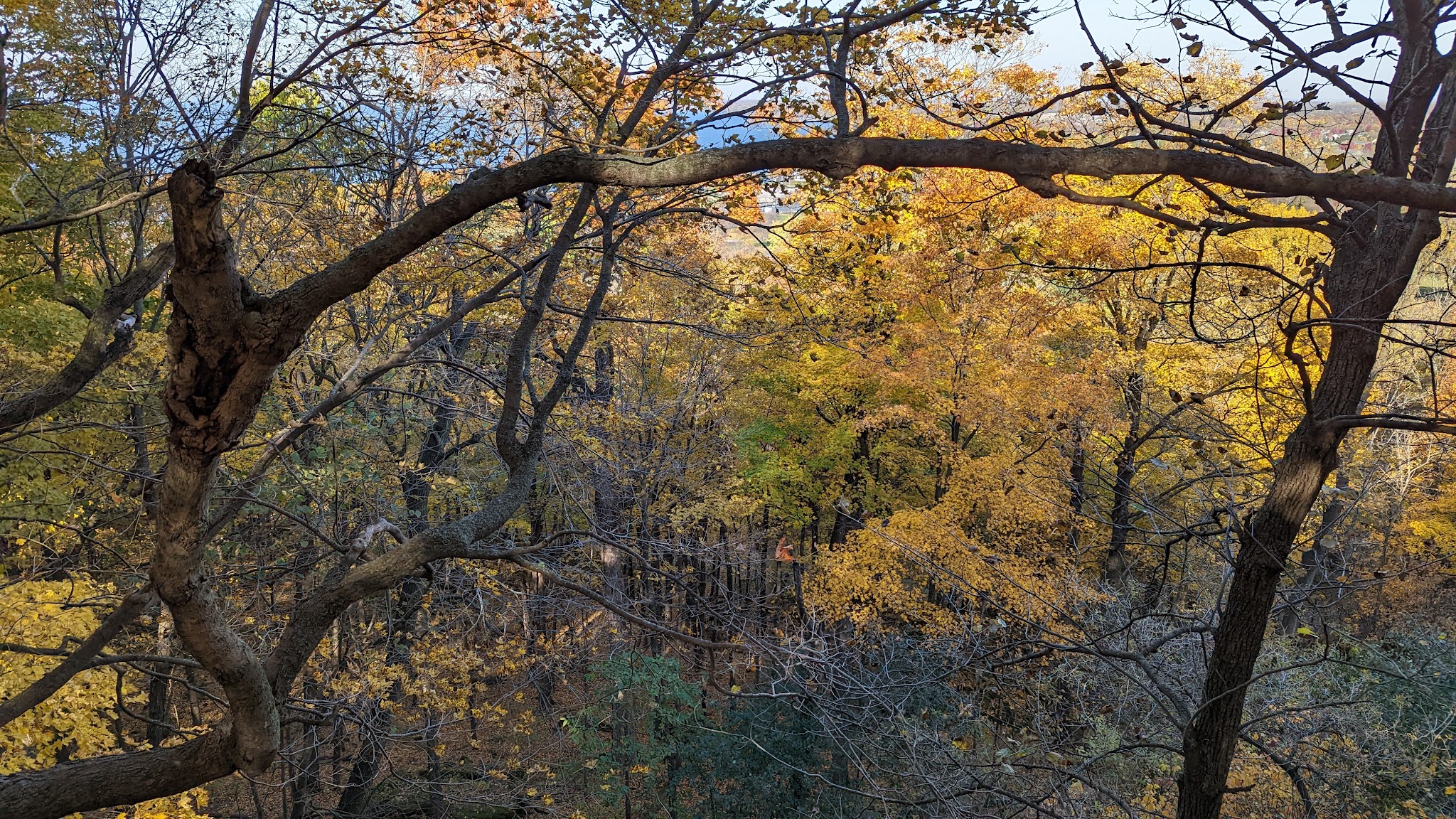 High Cliff State Park
