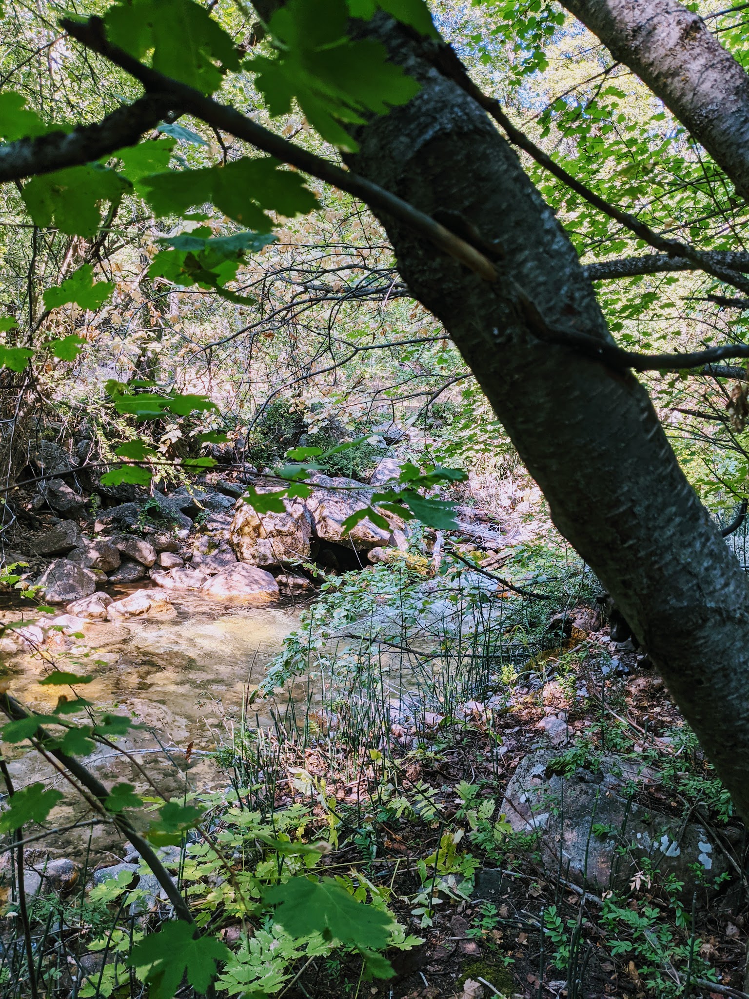 High Creek Campground