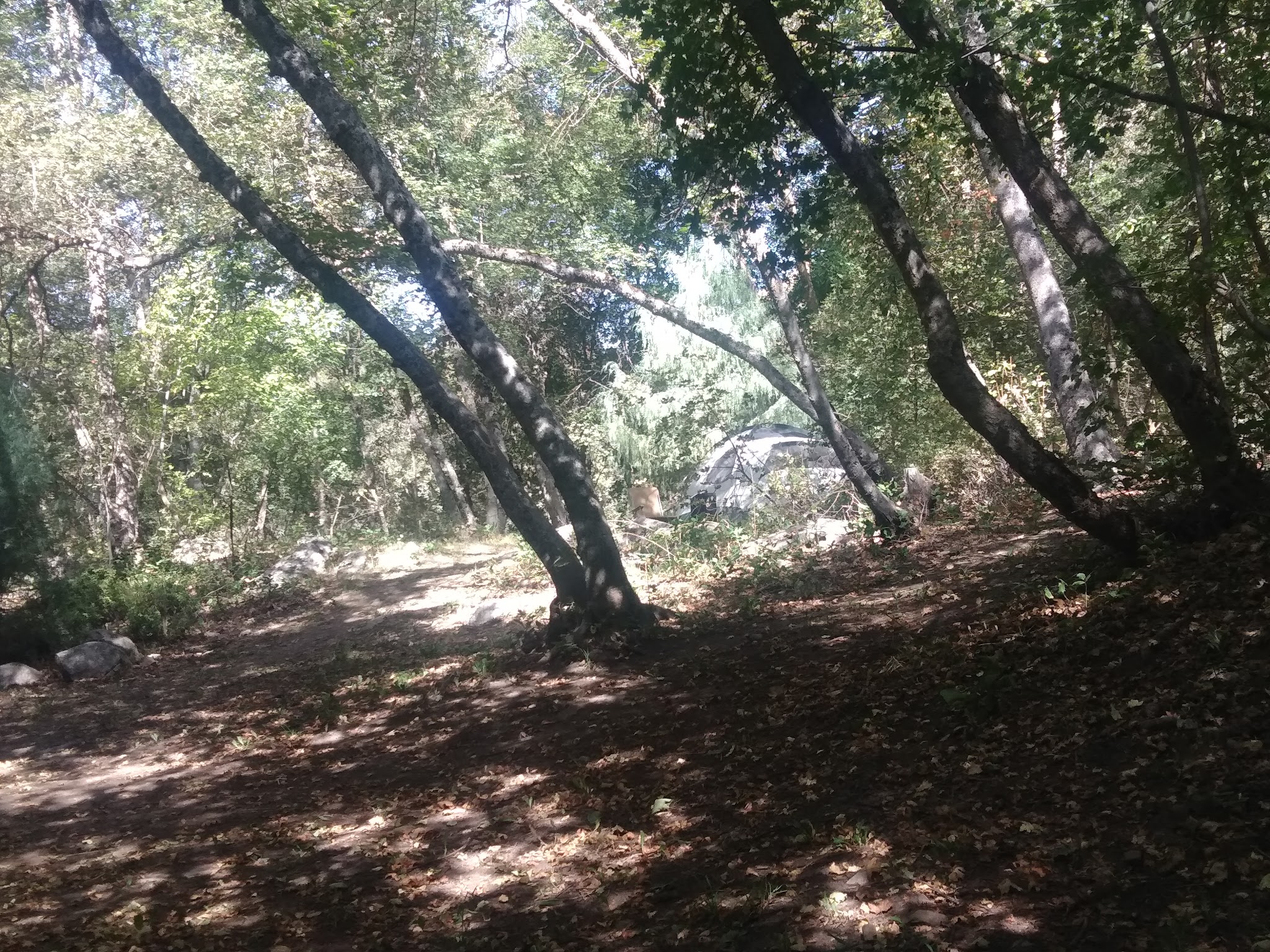 High Creek Campground