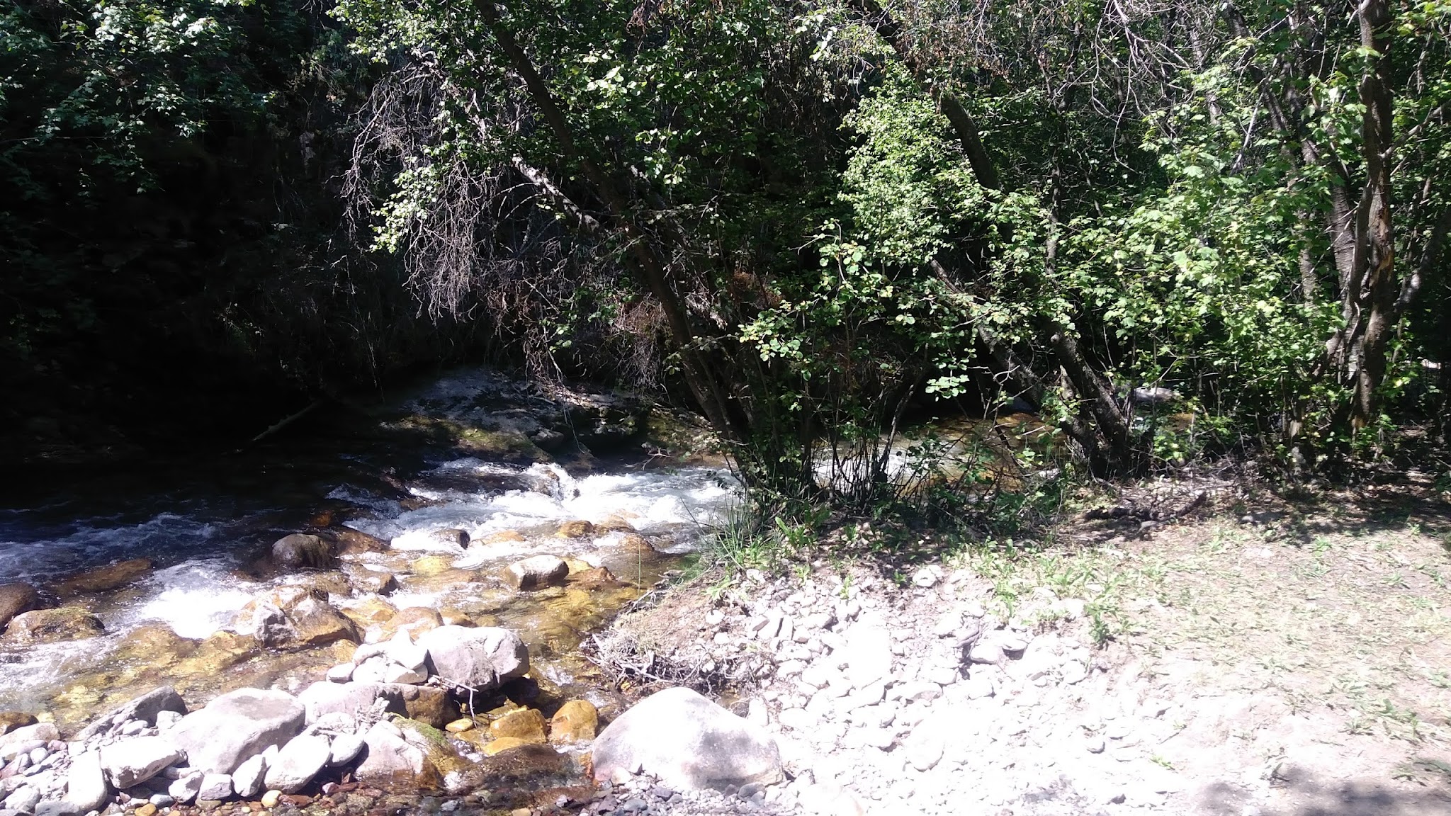 High Creek Campground