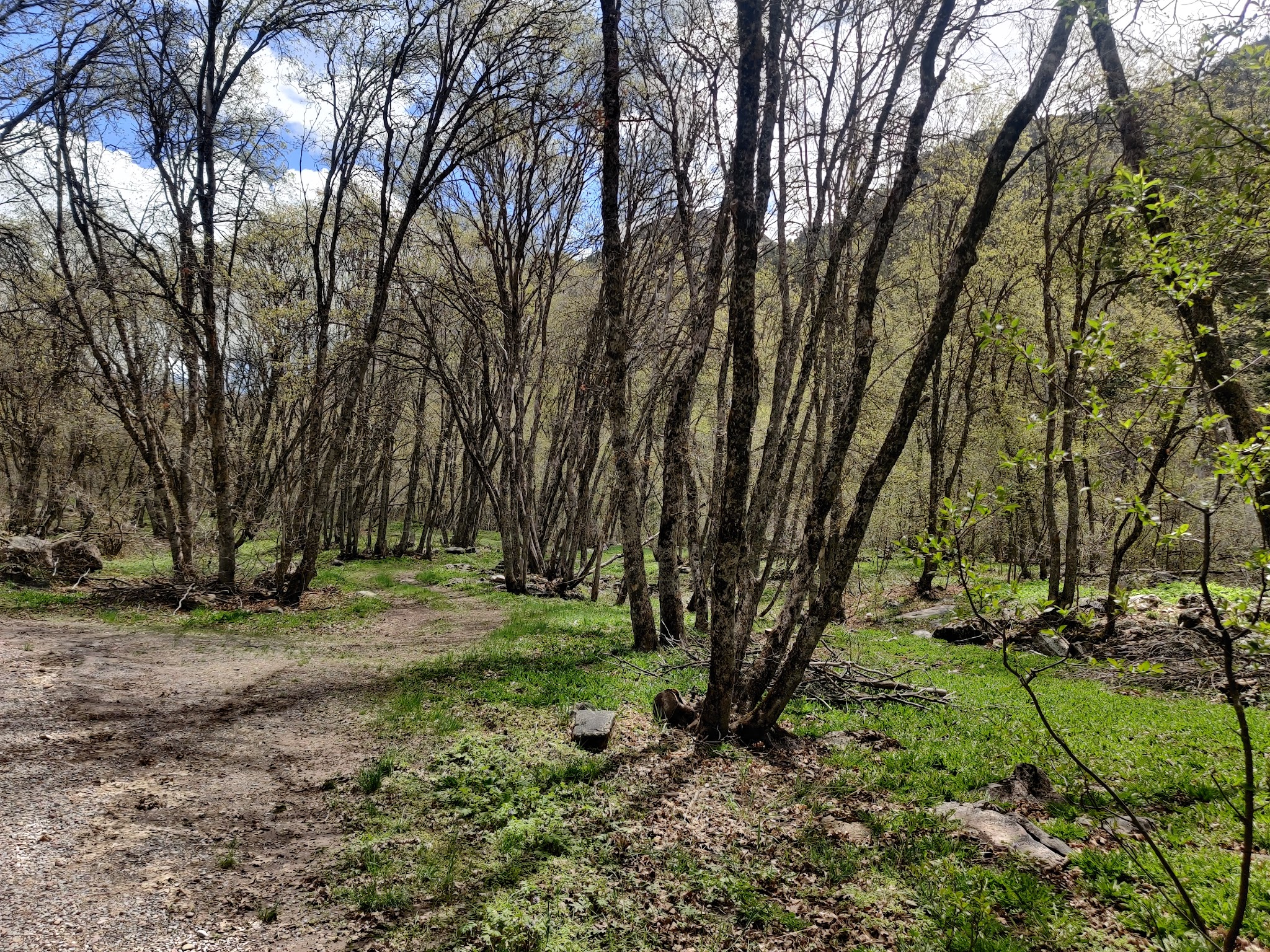 High Creek Campground
