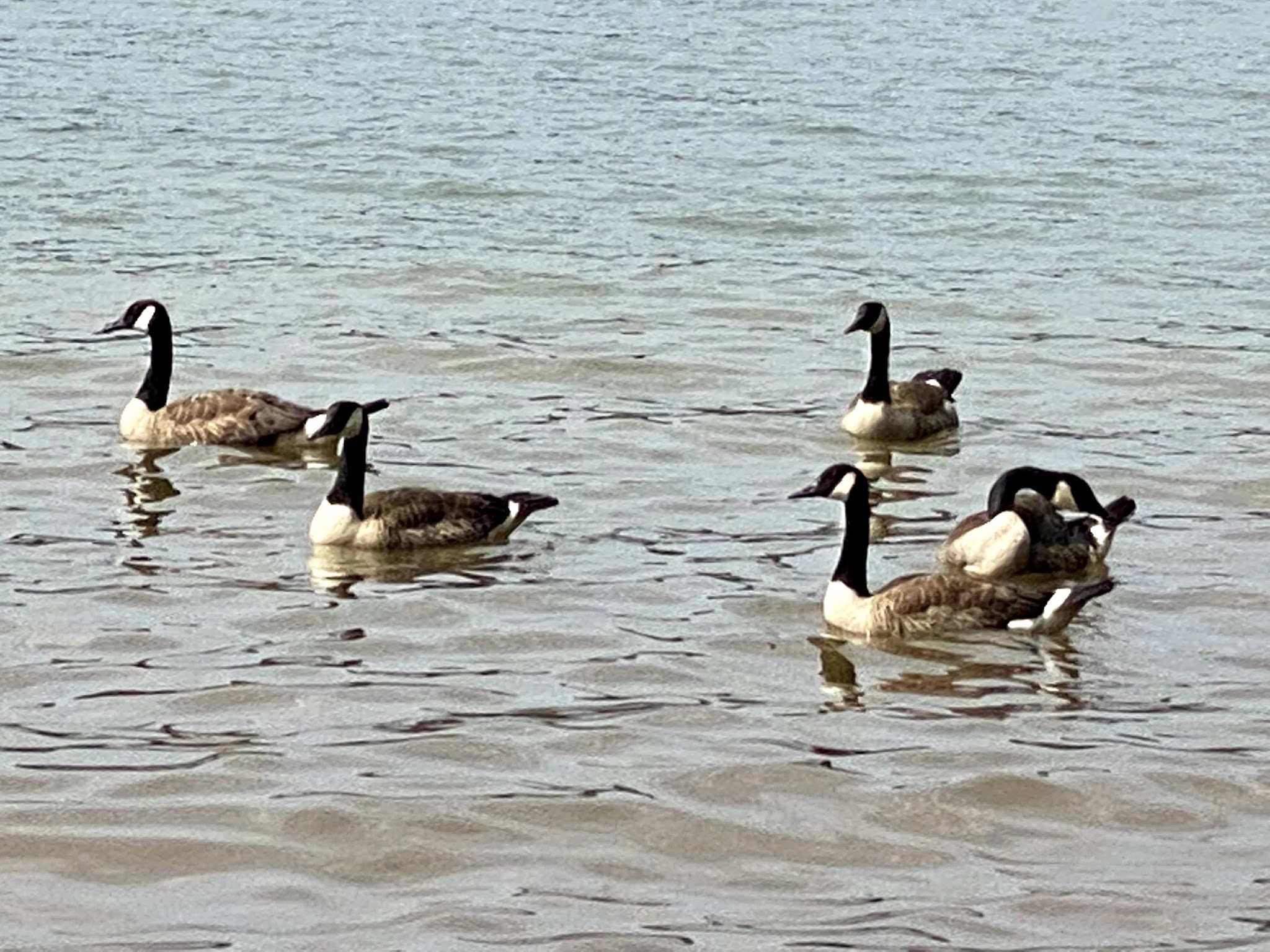 High Falls County Park